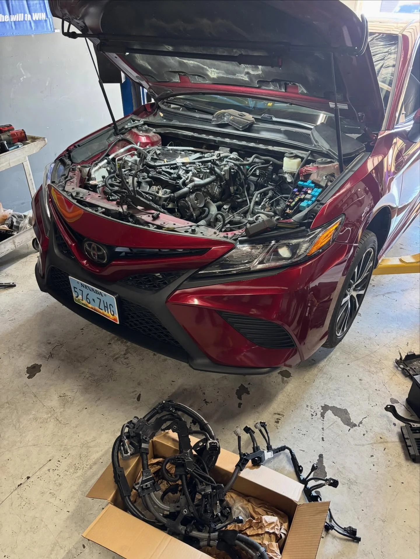2018 Toyota Camry - Engine harness replacement ✅
 
Rodents found their way into this car and caused some damage. I was able to replace this engine harness for less than half of what the dealership wanted! 

#toyota #engineharness #rodentdamage