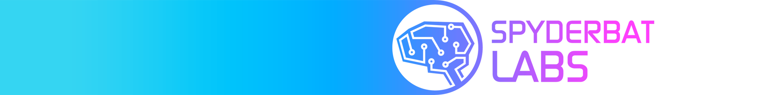 Logo of Spyderbat Labs featuring a circuit board design and purple and pink text on a blue background.