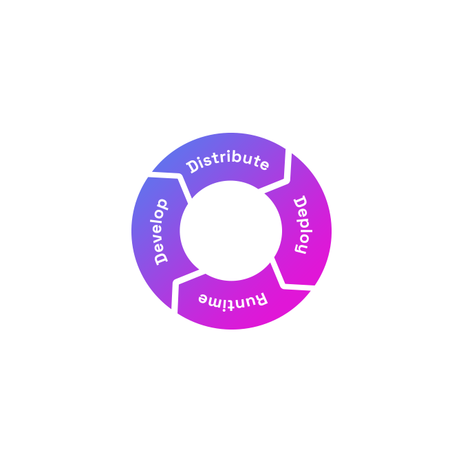 Circular diagram with four segments labeled 'Distribute,' 'Deploy,' 'Runtime,' and 'Develop' in gradient purple and pink colors.