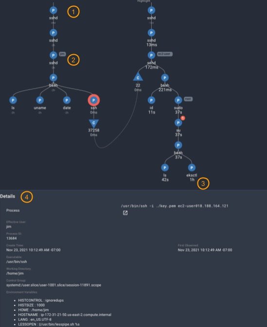Diagram of a network activity or process flow, including SSH connections, commands like bash and sudo, and environment details, with numbered annotations from 1 to 4.