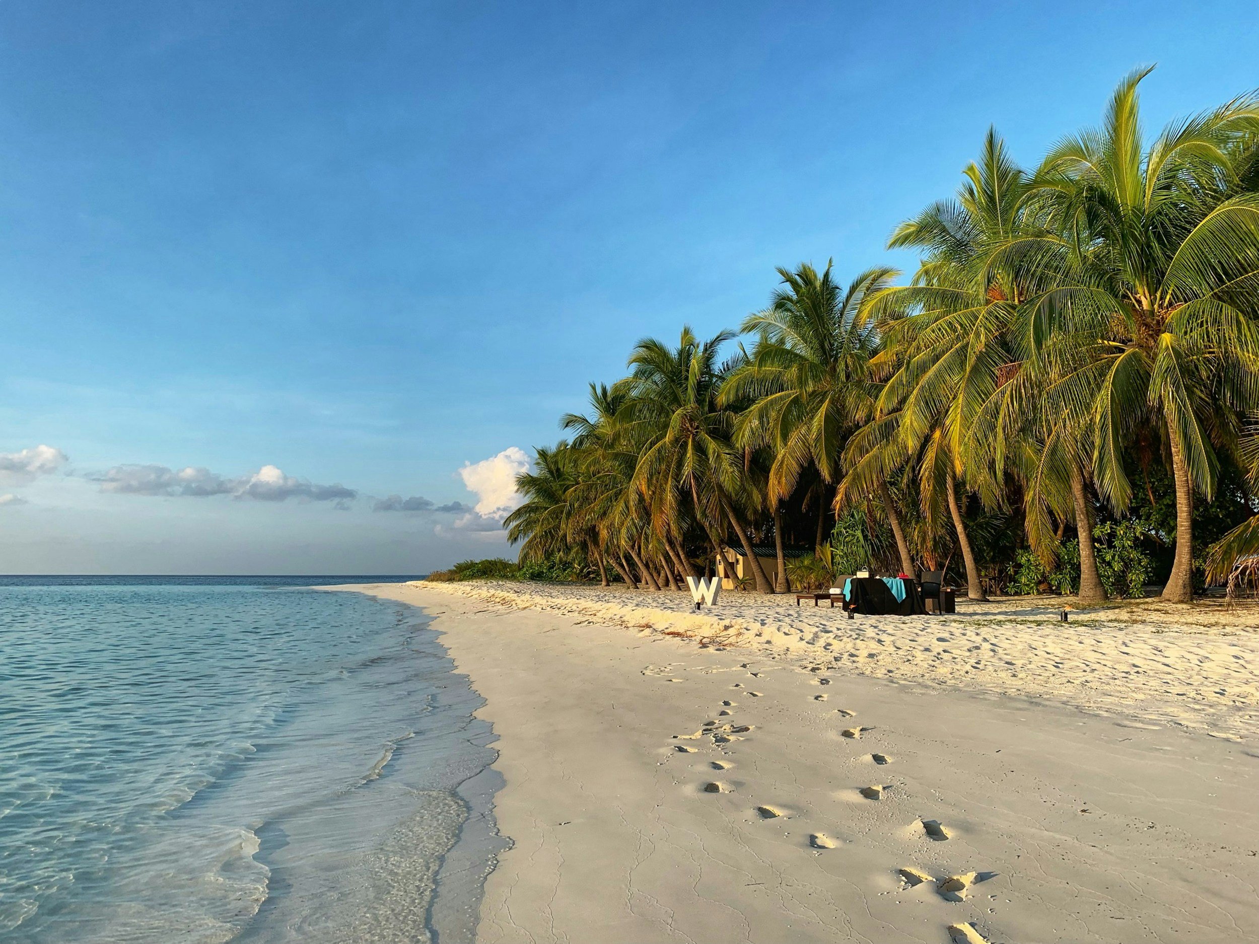 Tropical beach with white sand, calm turquoise water on the left, and a row of tall palm trees on the right. There are footprints in the sand and some outdoor furniture under the trees.