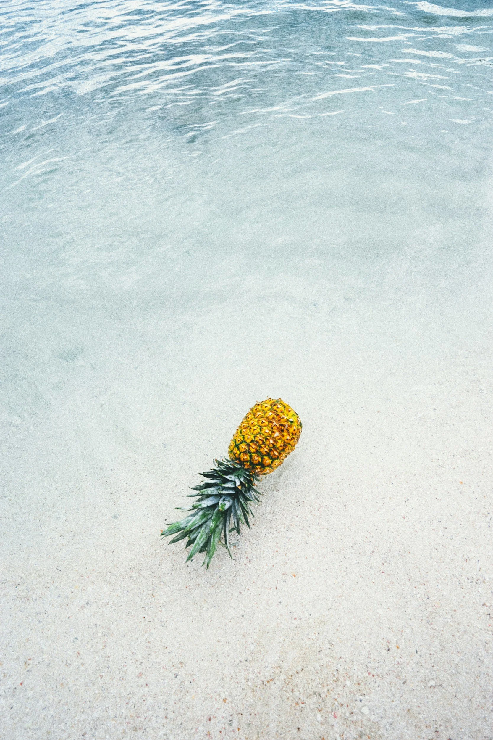 A pineapple lying on a sandy beach near the shoreline with blue water.