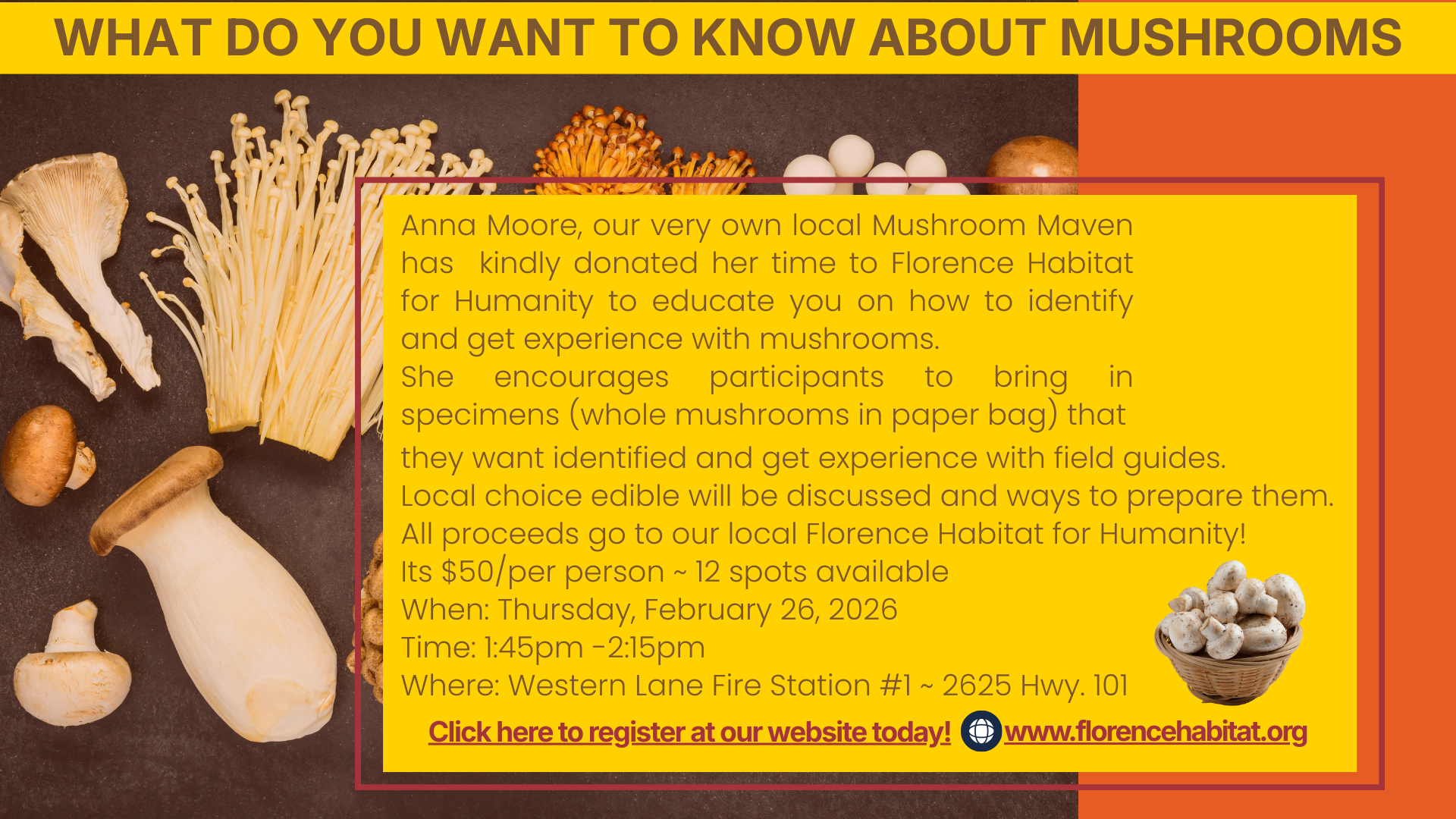 Mushrooms - What Do You Want To Know