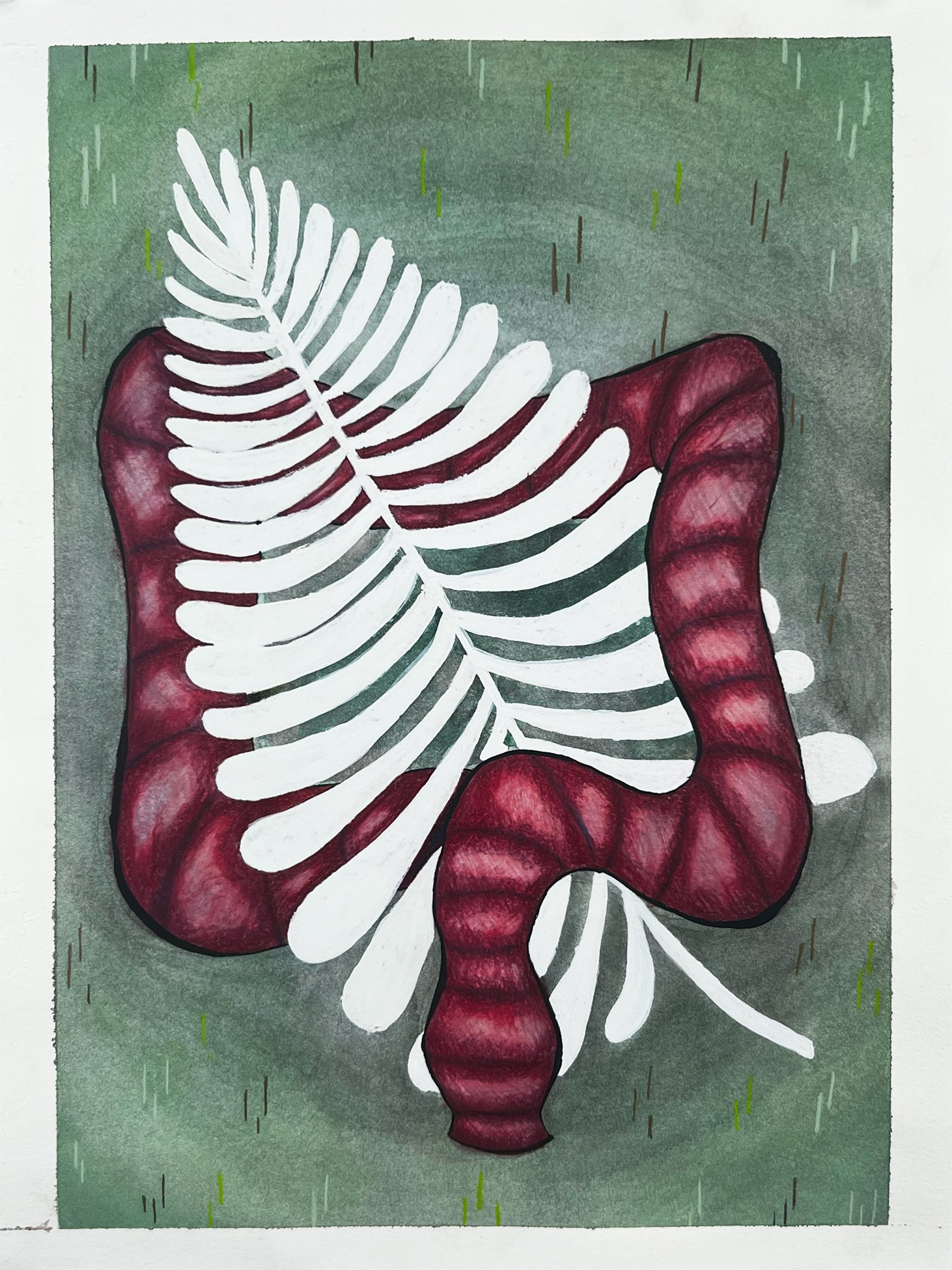 Intestinal Fern 2023 Watercolor, Colored Pencil, and India Ink