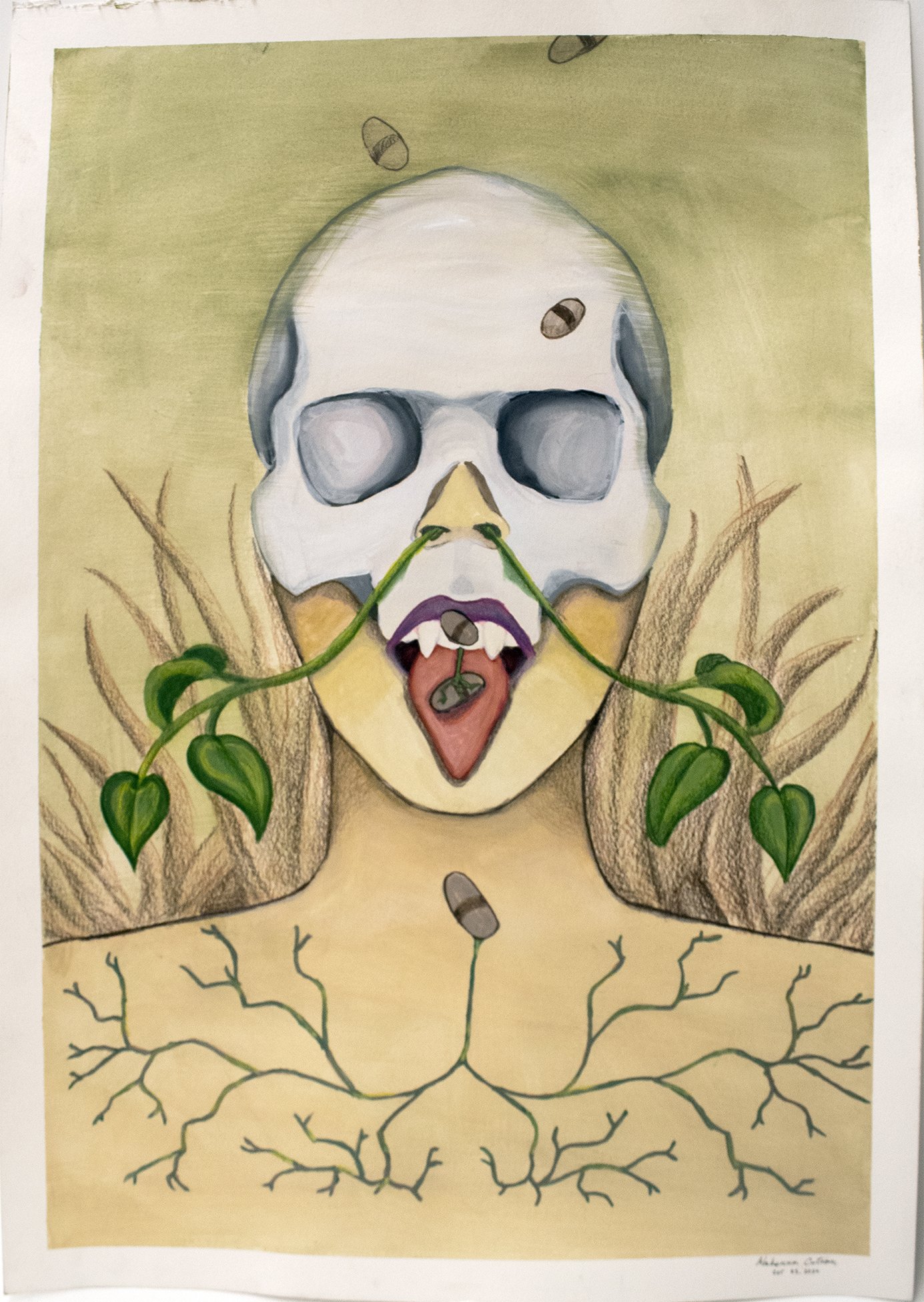 Brain Dead Plants, 2022, Watercolor, Gouache, and Colored Pencil