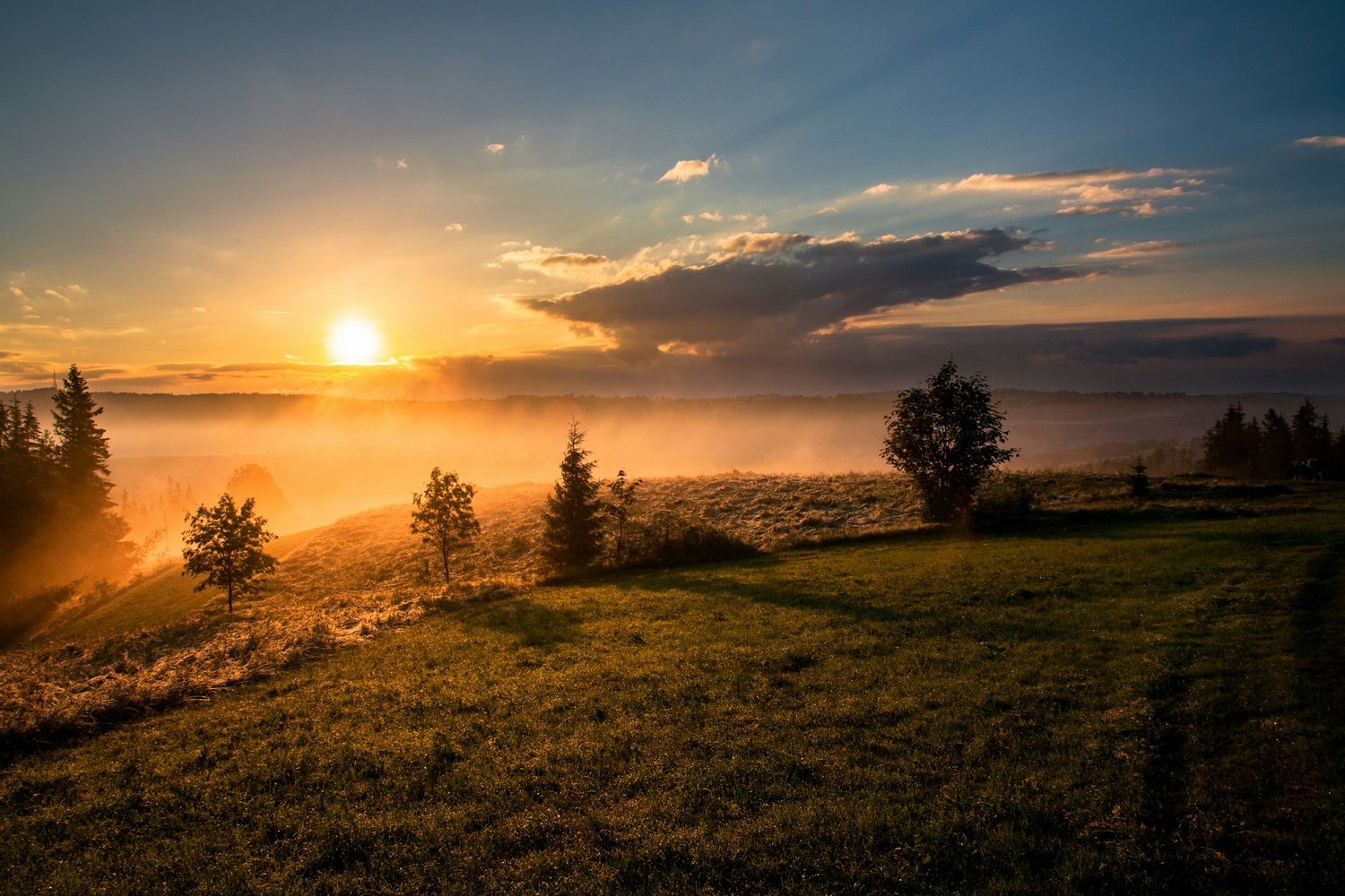 Why Do Mornings Feel So Hard?