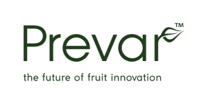 Prevar logo with the slogan 'the future of fruit innovation'