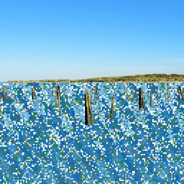 no_water_006.gif