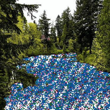 no_water_005.gif
