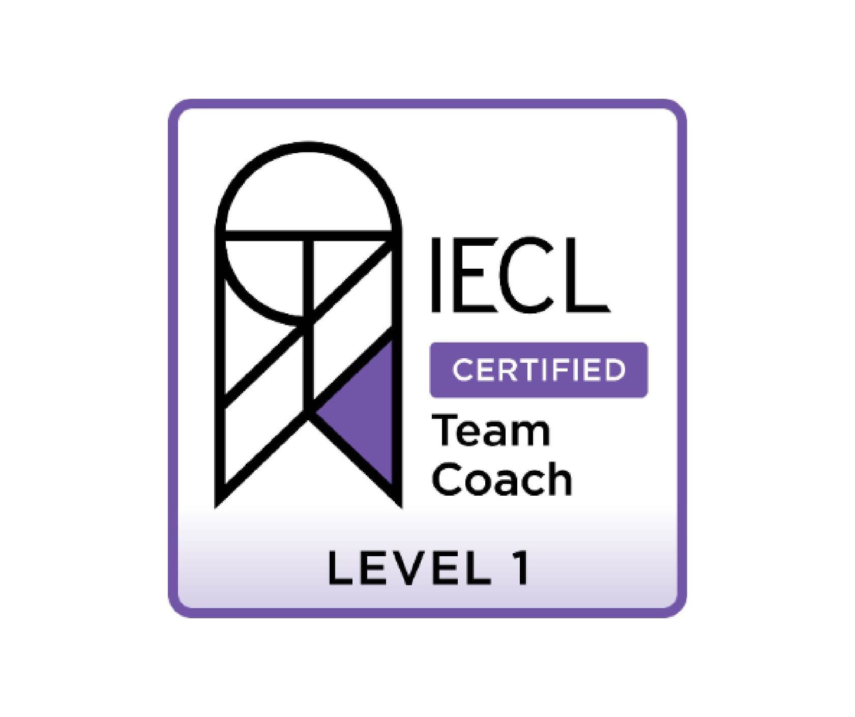 IECL Team Coach level 1 logo