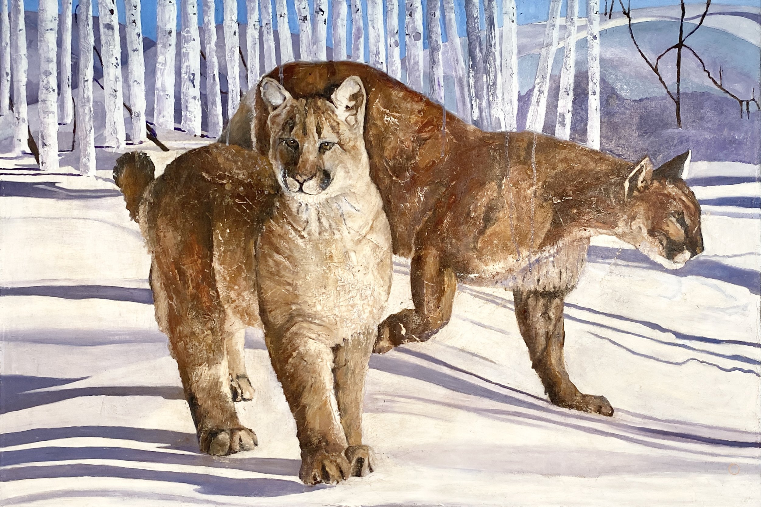 Joanne Orce, CO Mountain Lions