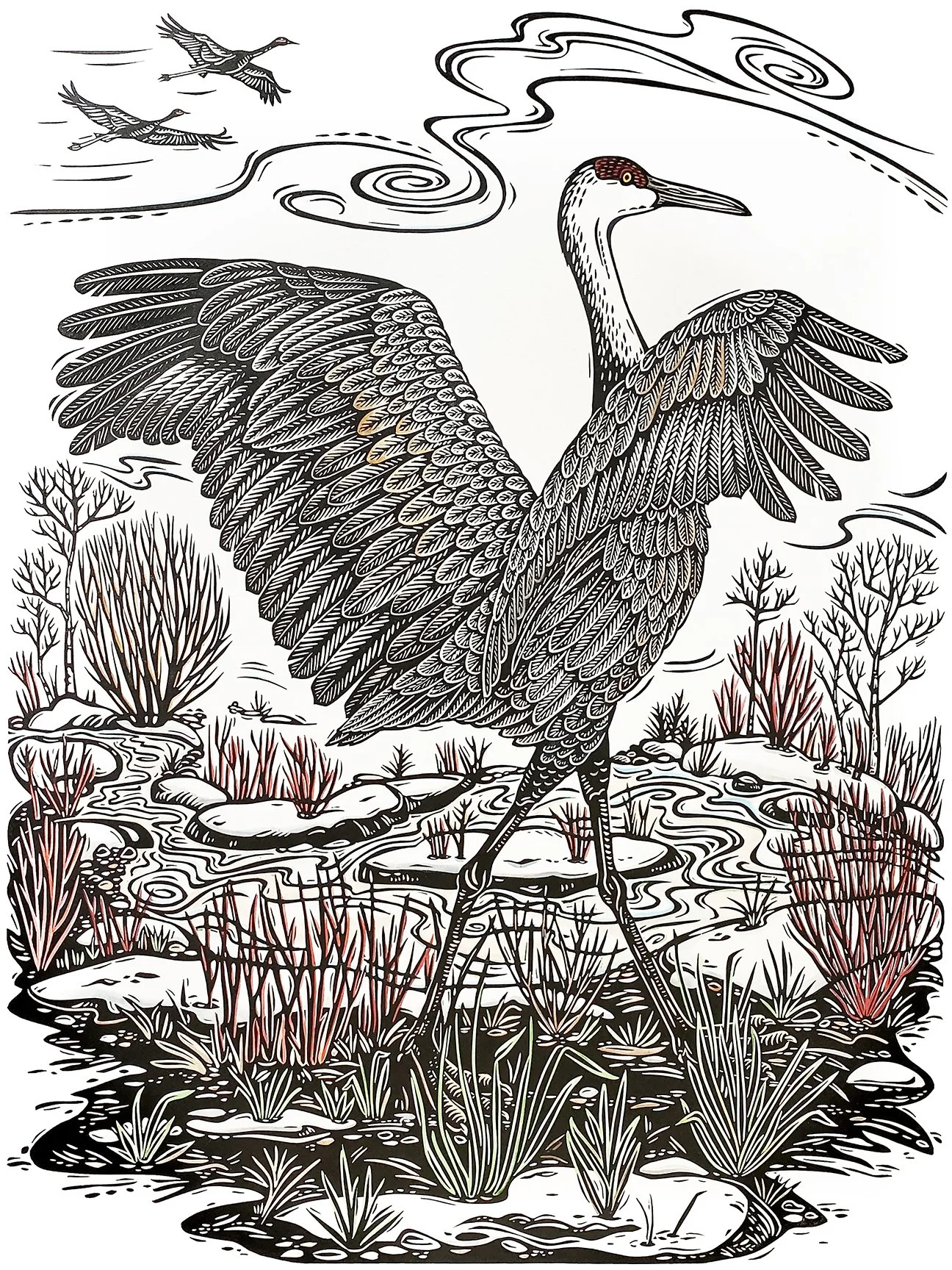Bergman Sandhill Crane painted sm.jpg