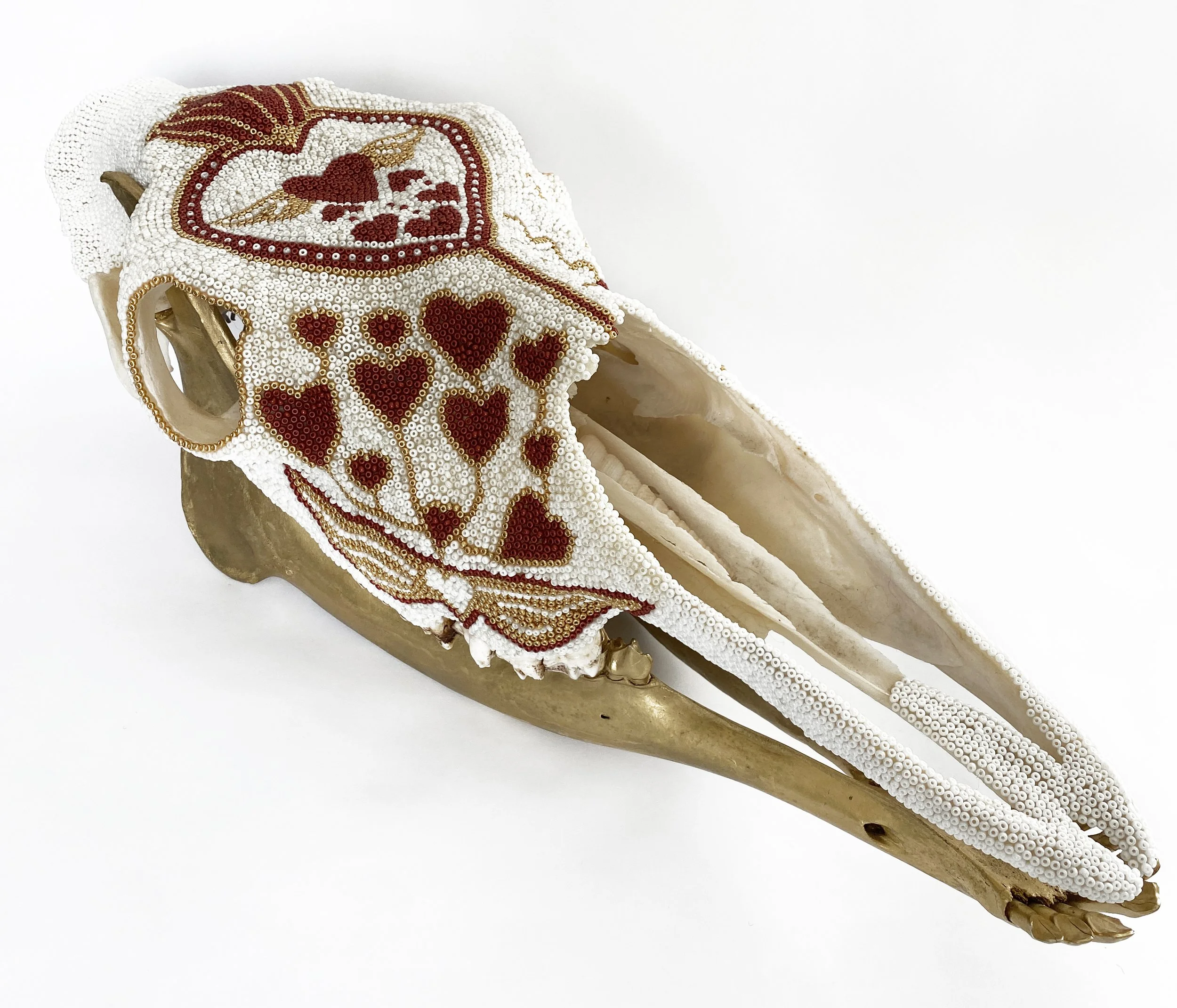 Christine Hardy Love Moose Skull.jpg