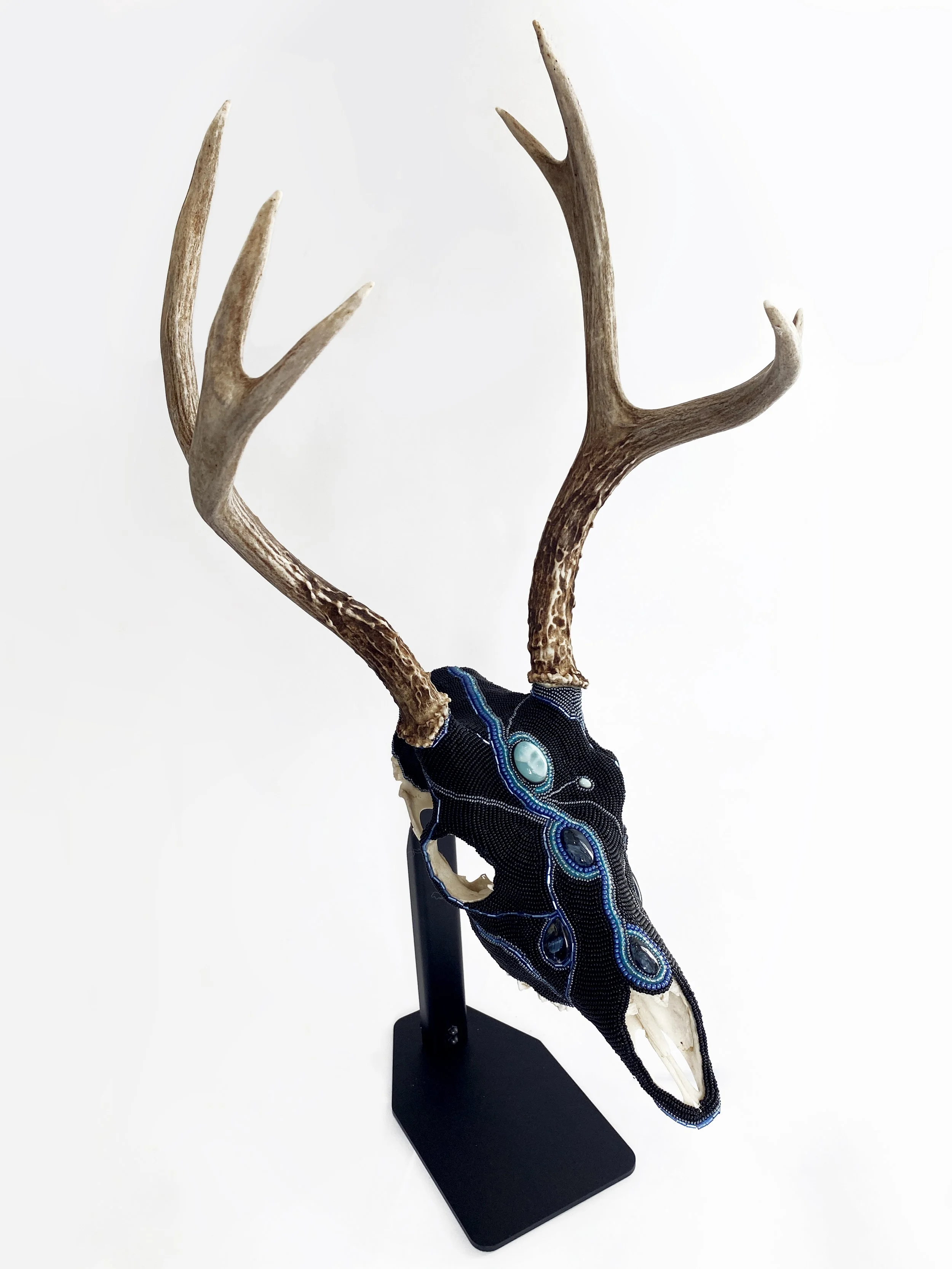 Christine Hardy Larimer Buck Skull.jpg