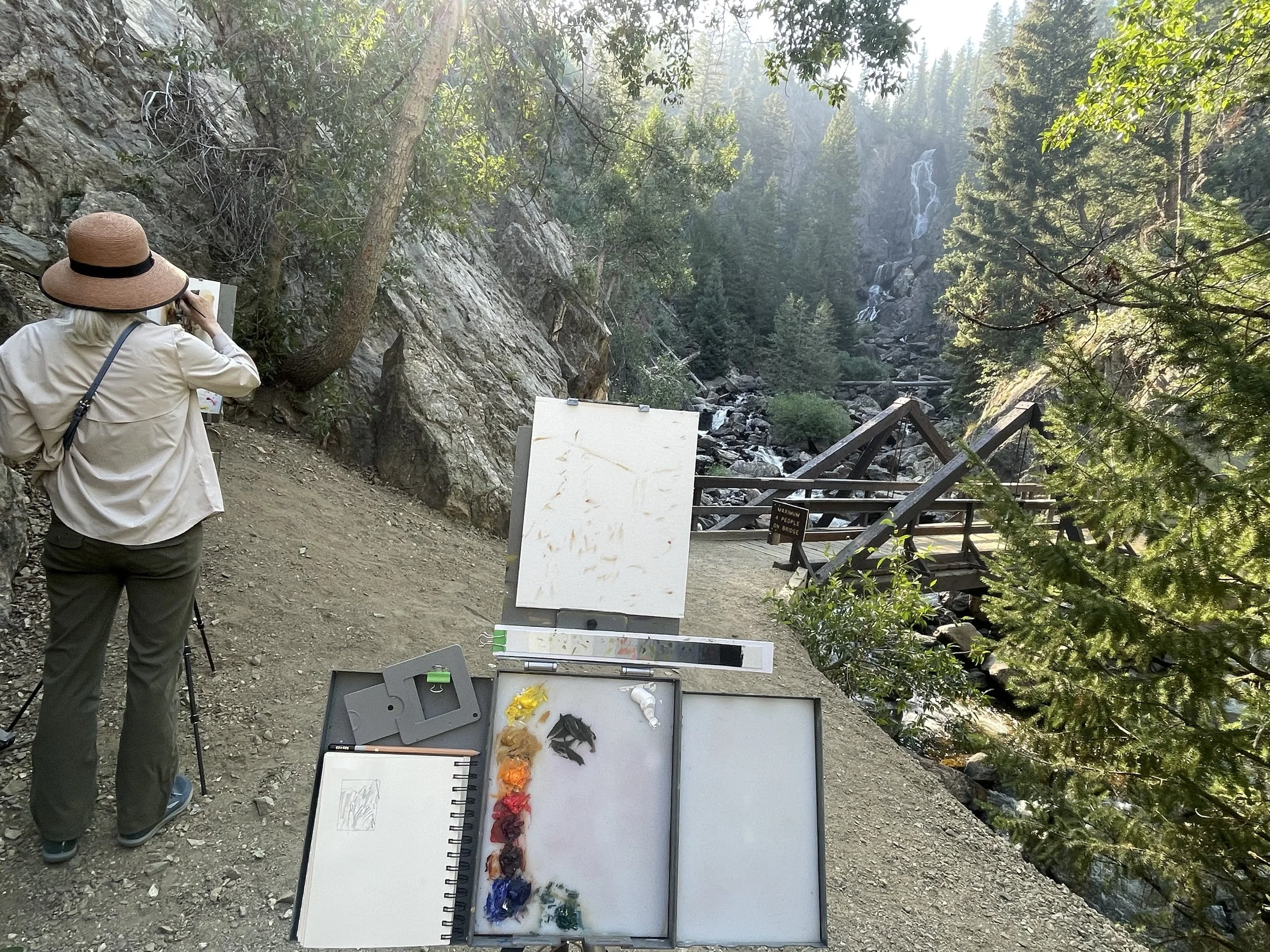 Ann Feldman painting at Fish Creek Falls