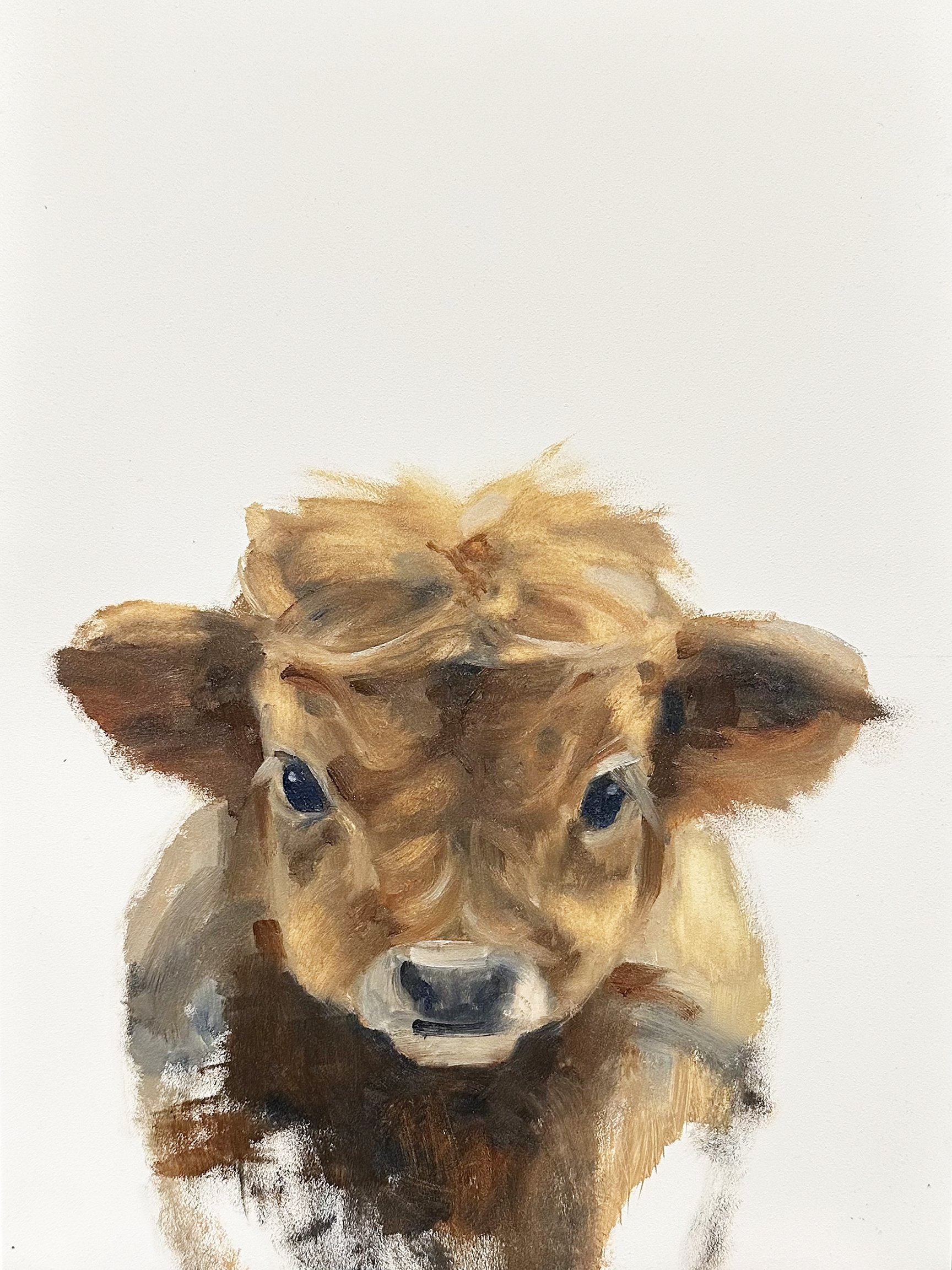 Coco the Cow.jpeg