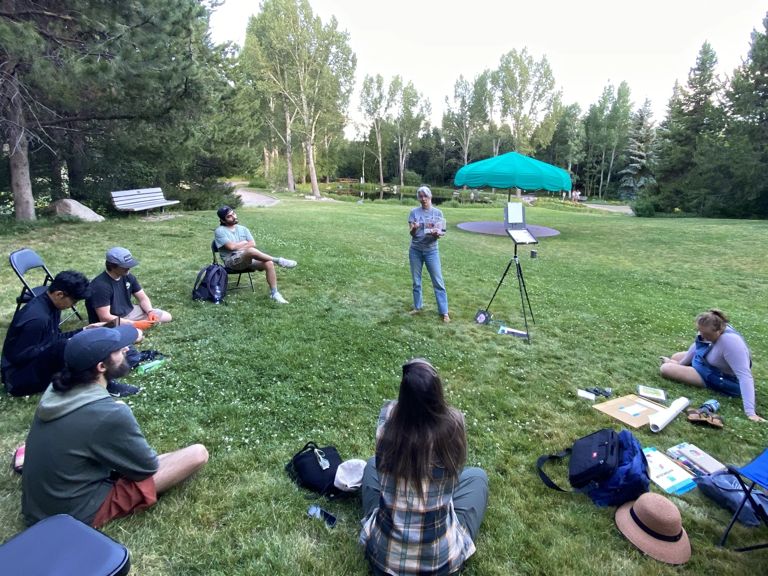 Ann Feldman discussing plein air painting