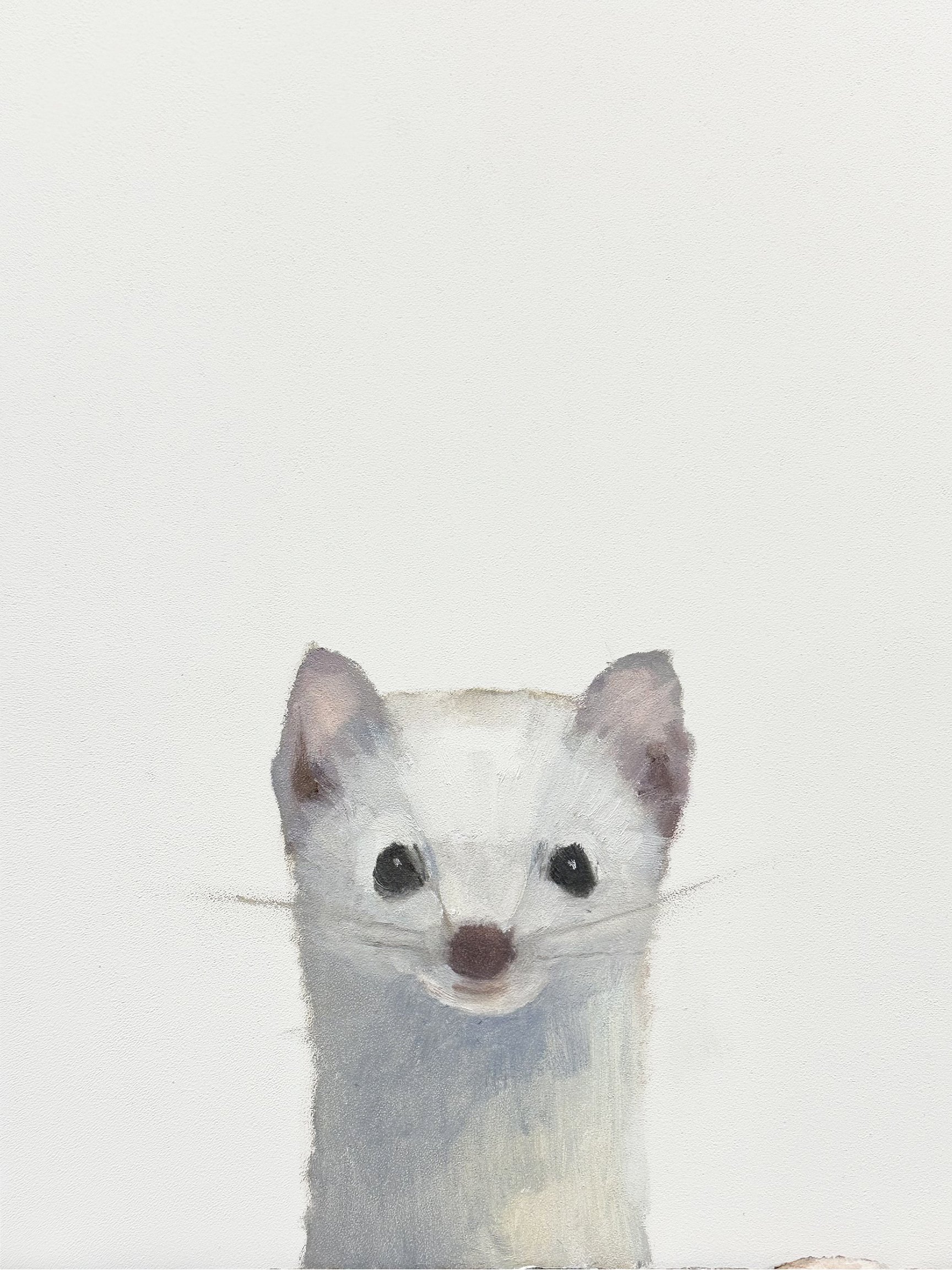Little Ermine.jpeg