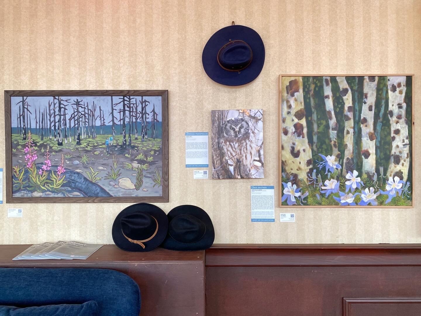 Insight: Art for Climate Action