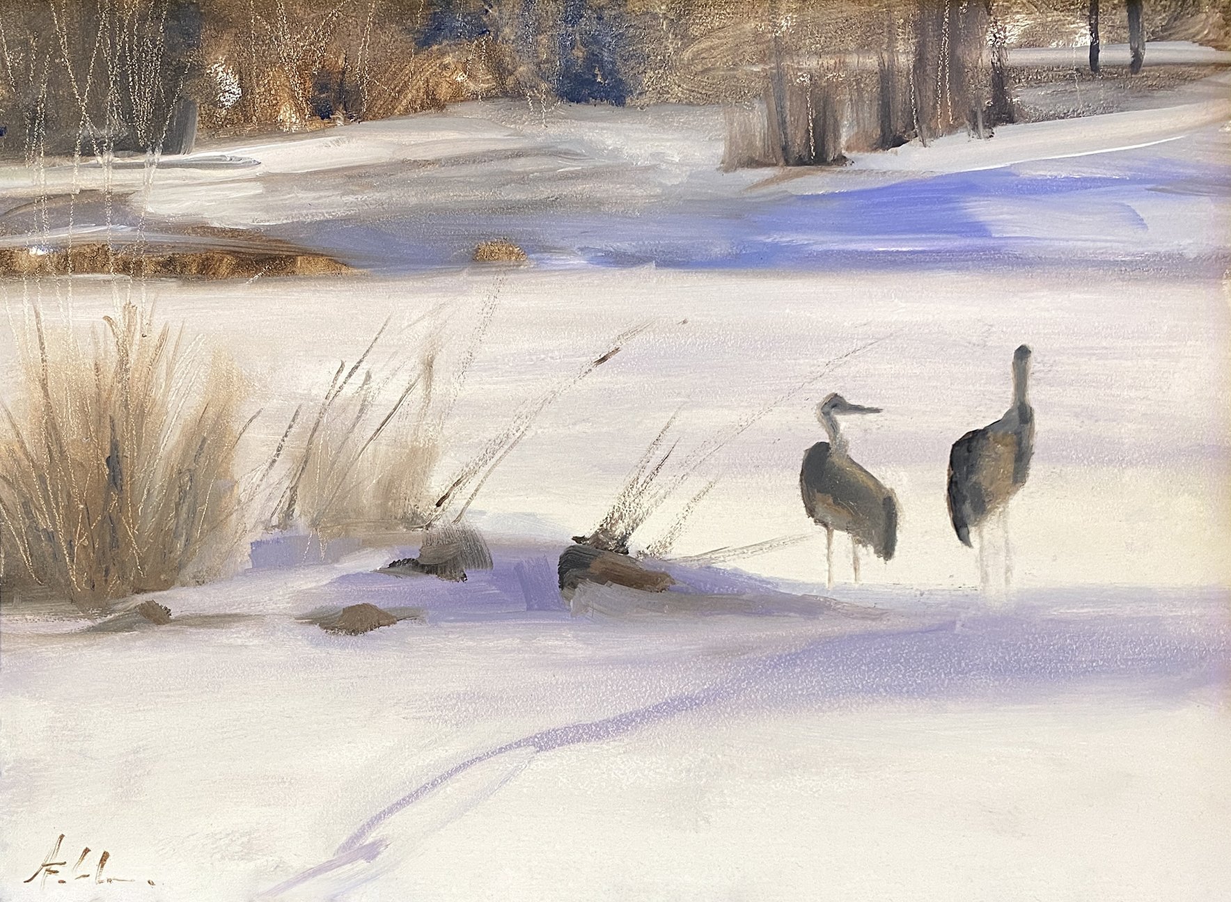 Ann Feldman, The Crossing