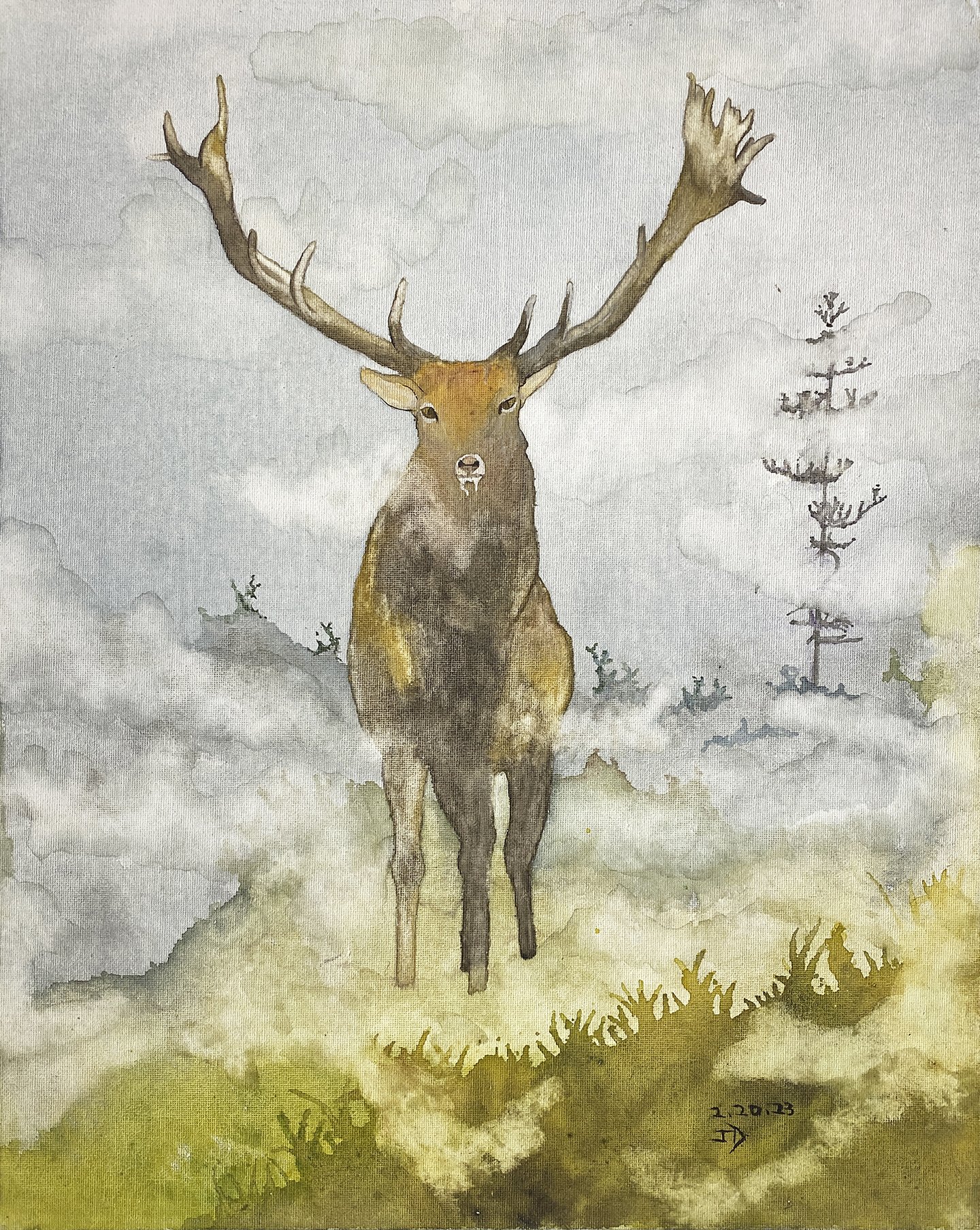 Juan Diego, The Forest Protector