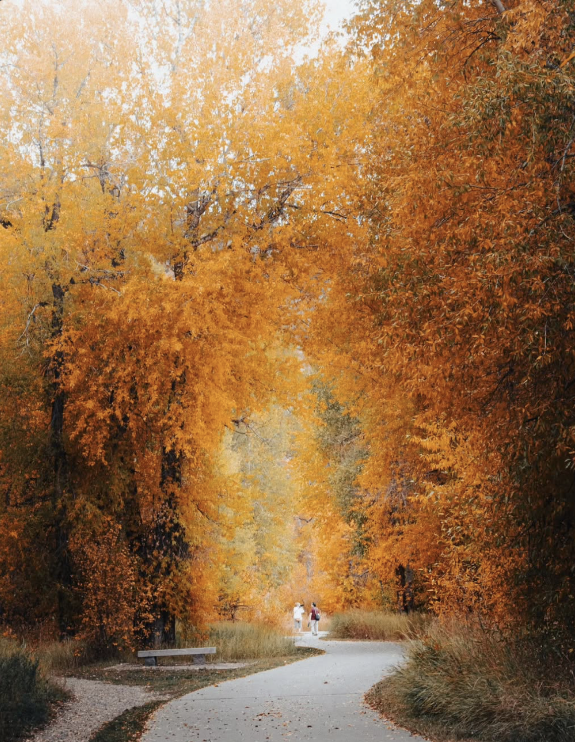 Ruffo Larrea, Steamboat Springs, Fall