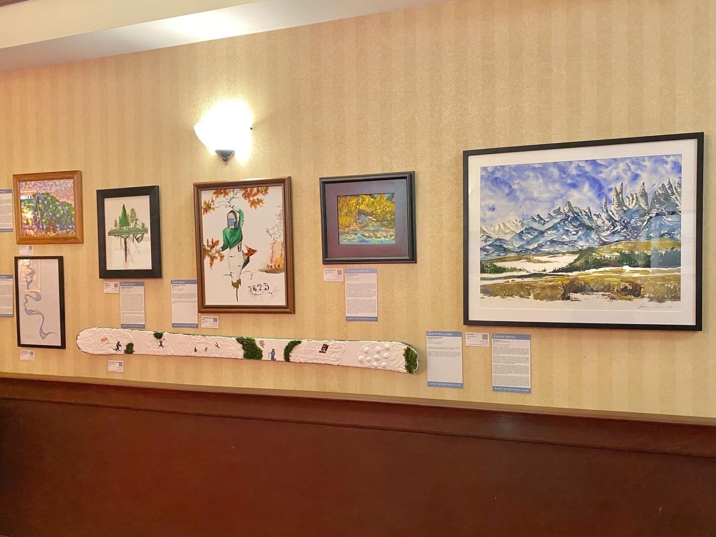 Insight: Art for Climate Action