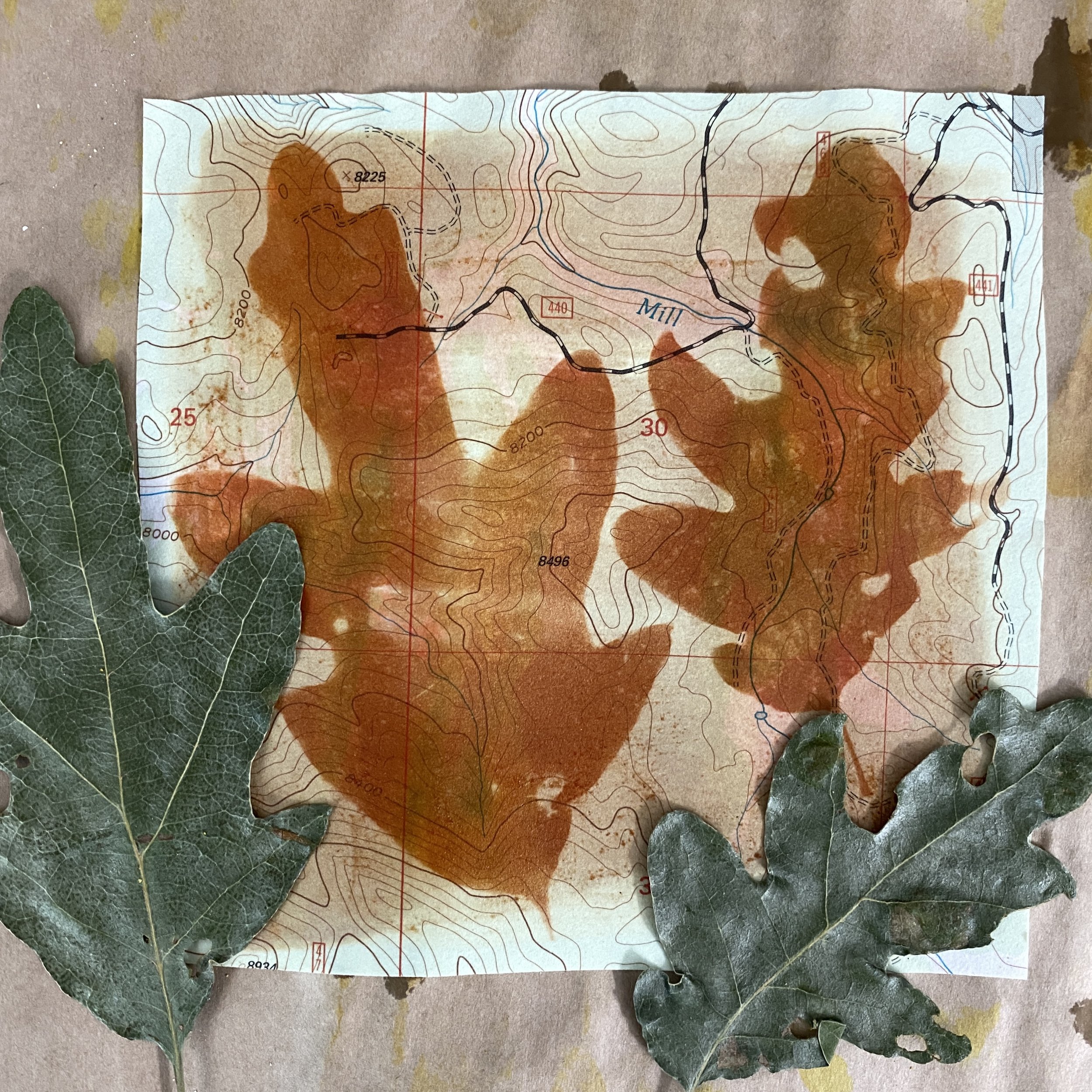 Non-toxic Tumeric printing