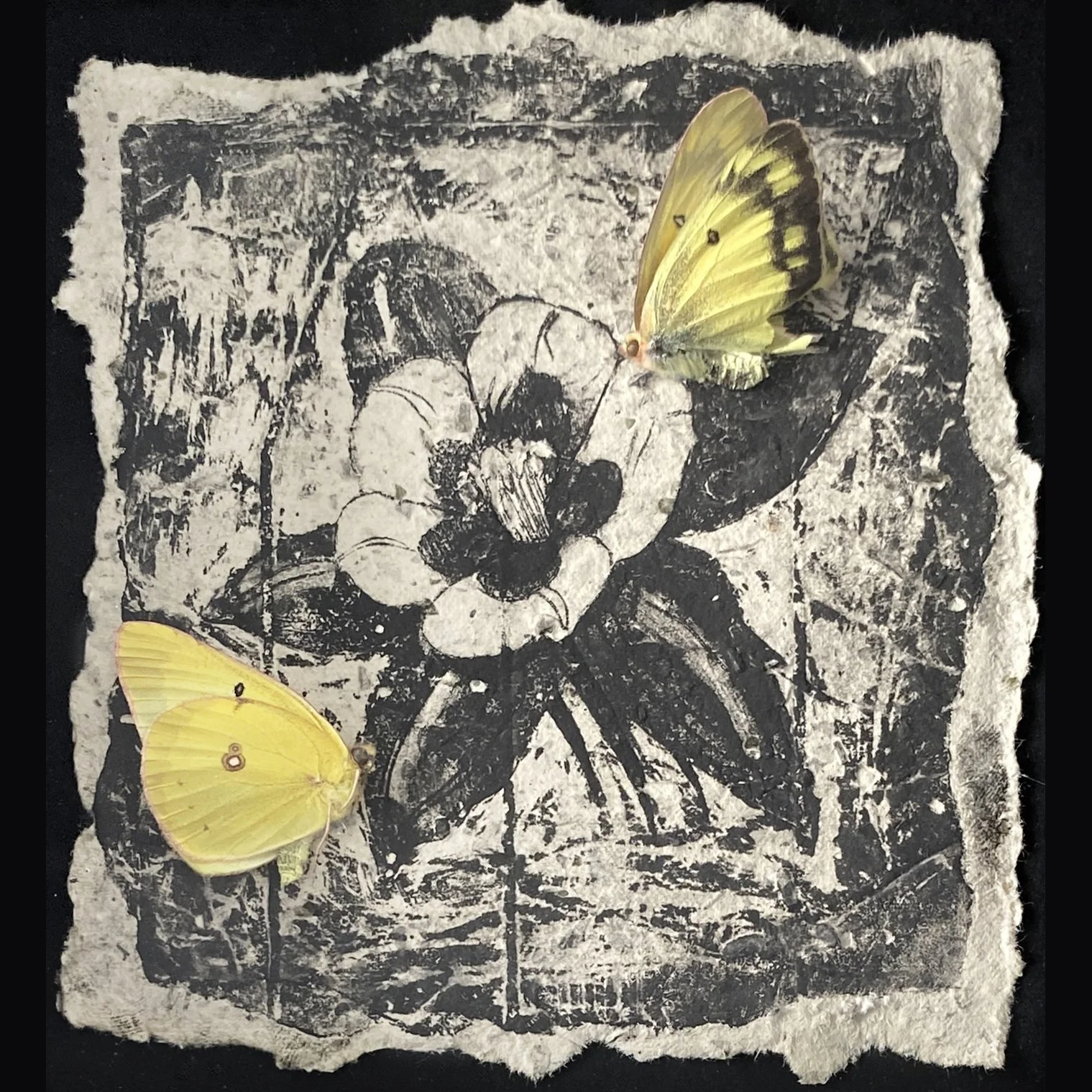 Luisa Manriquez, Columbine and Butterflies