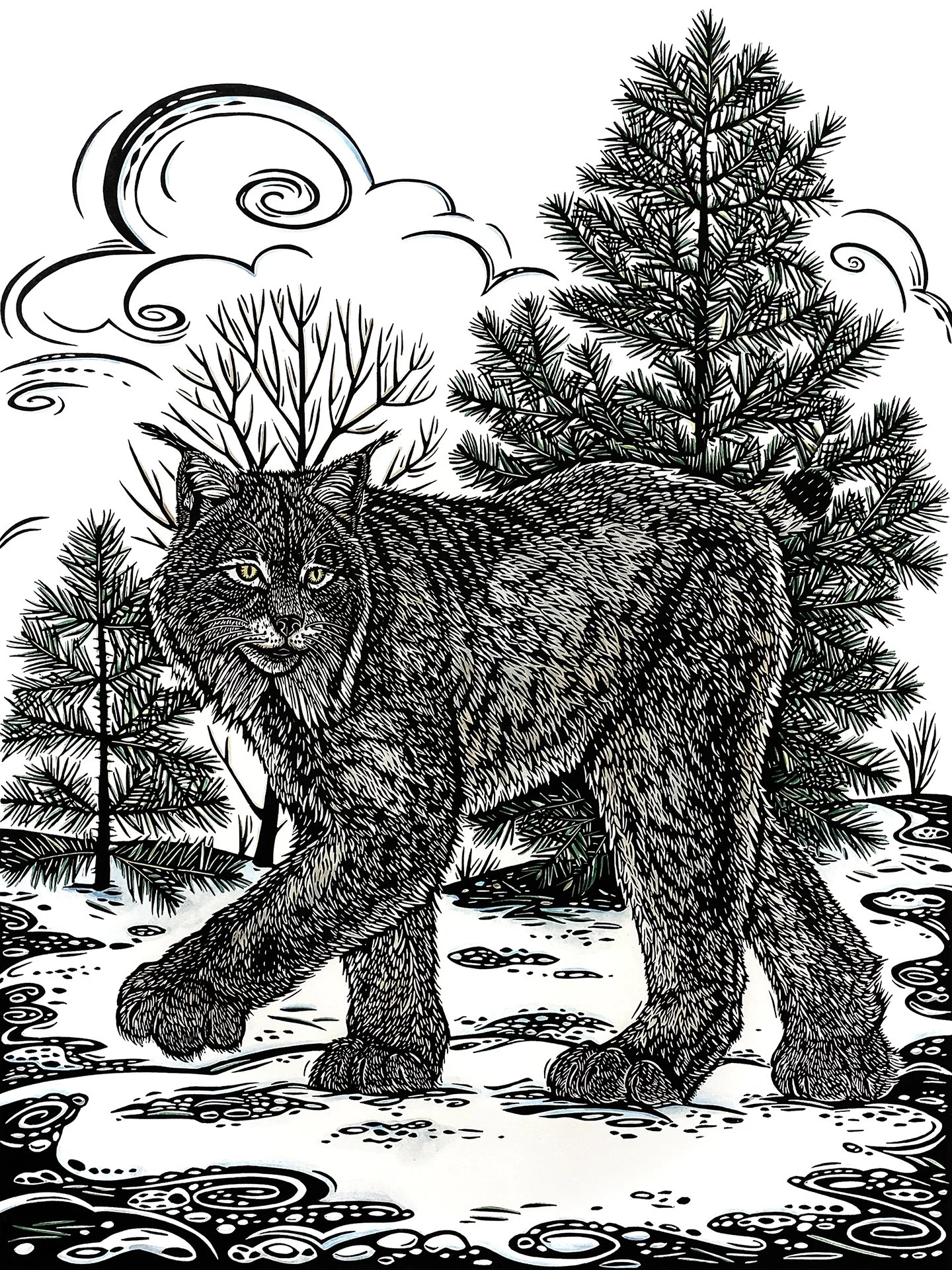 Lynx