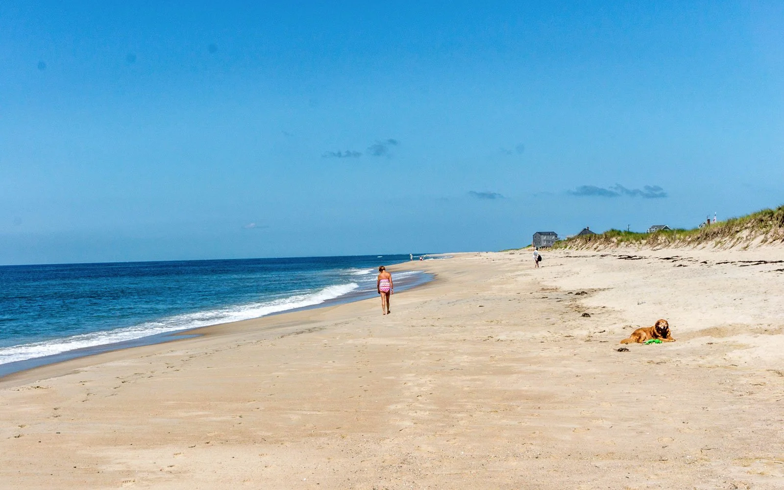 Madaket Beach.jpg