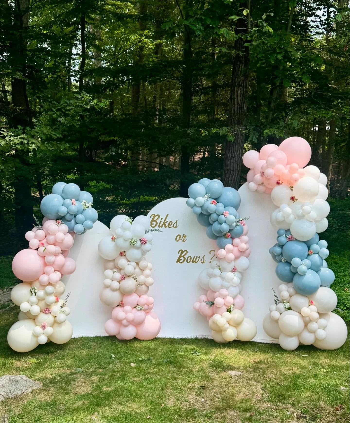 gender reveal backdrop.jpg