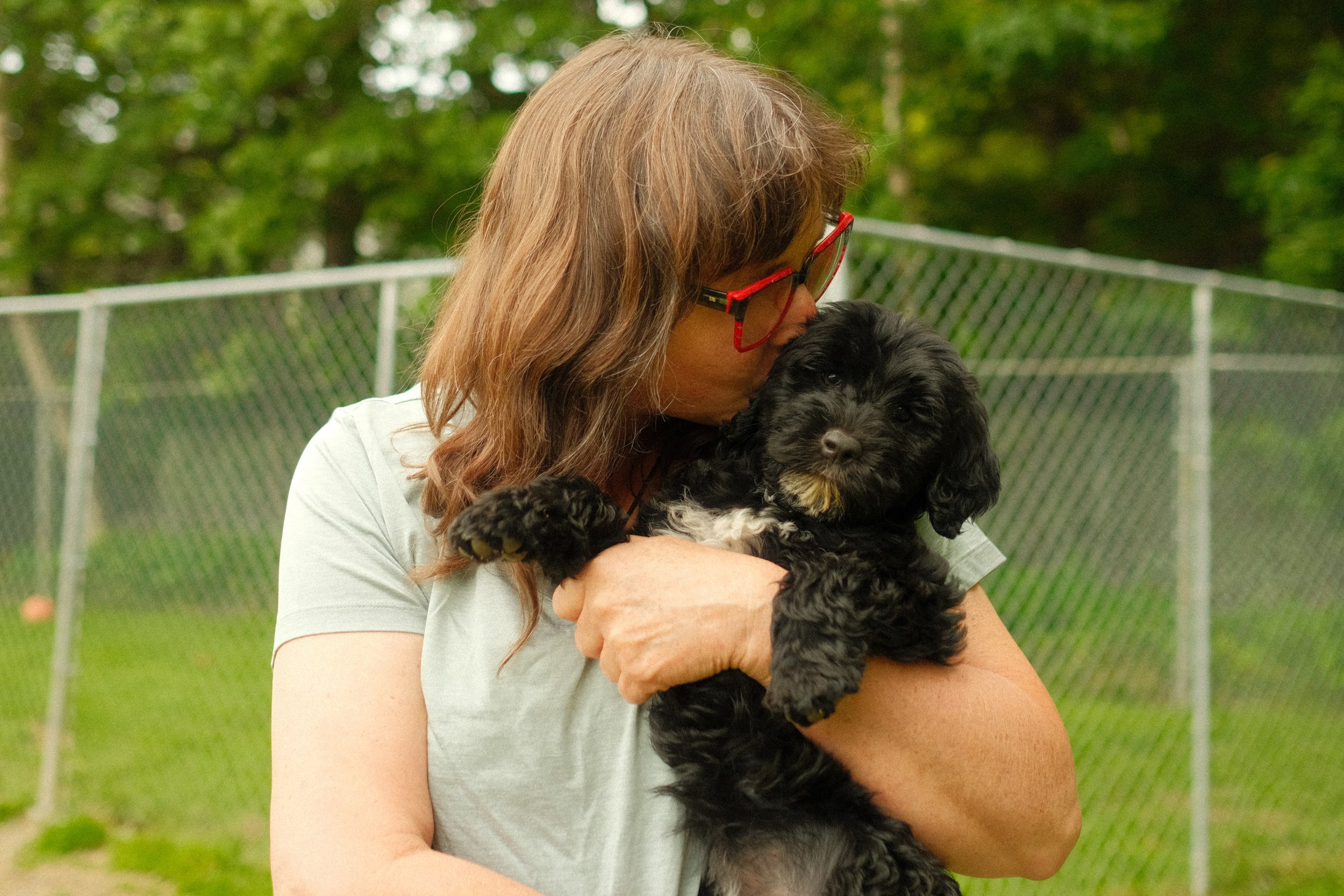 Portuguese Water Dog puppy breeder