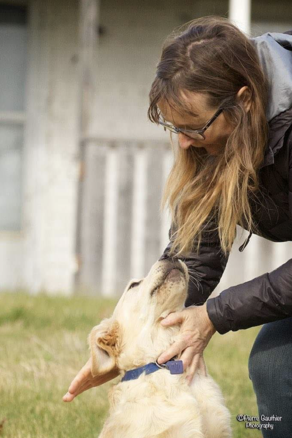 East Chester Goldwater Kennels breeder, groomer, boarding and fostering