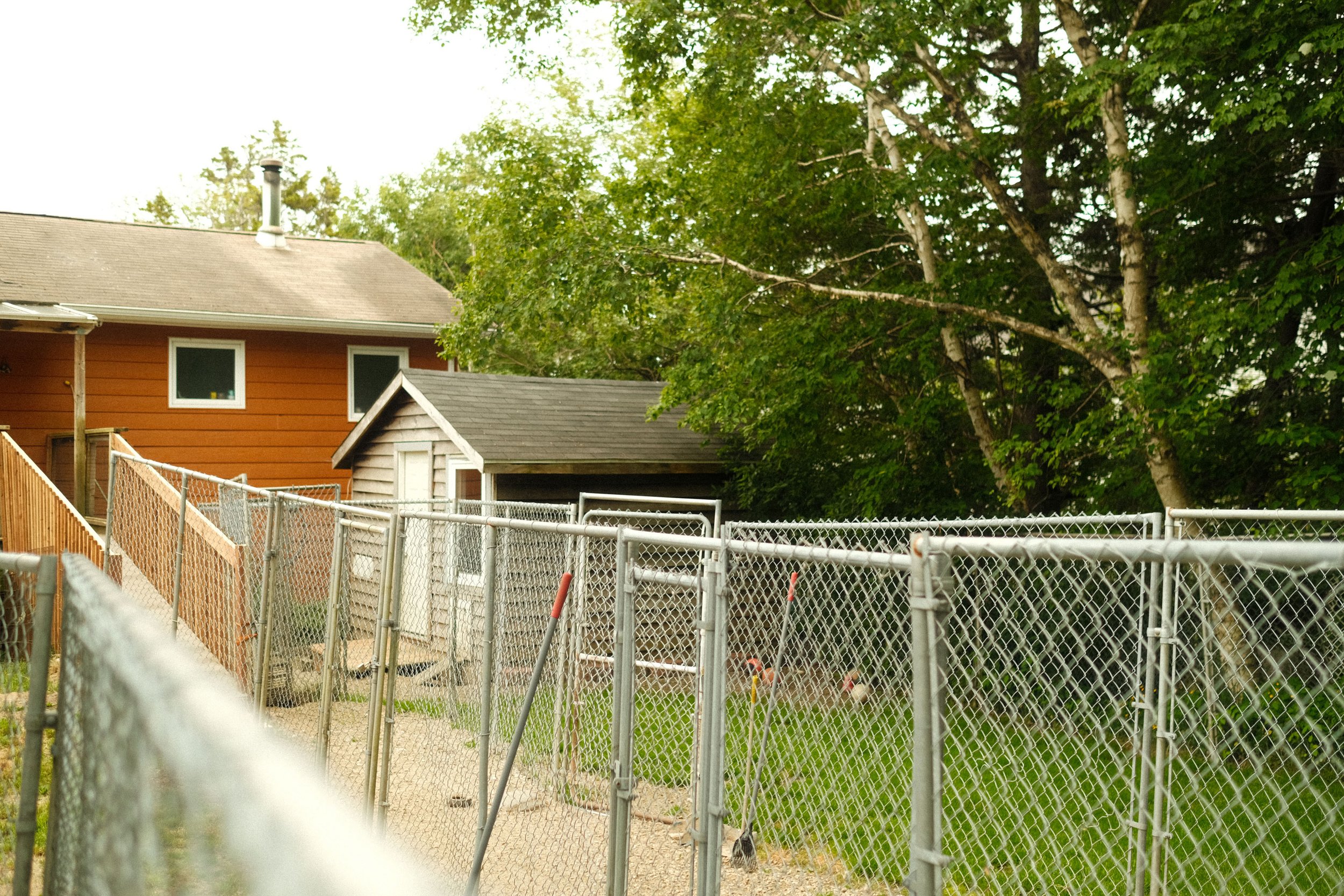 Goldwater kennels-5.jpg