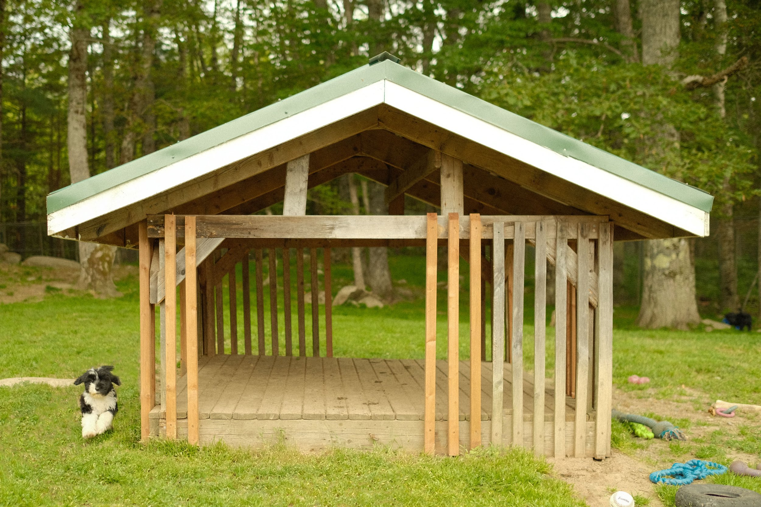Goldwater kennels-25.jpg