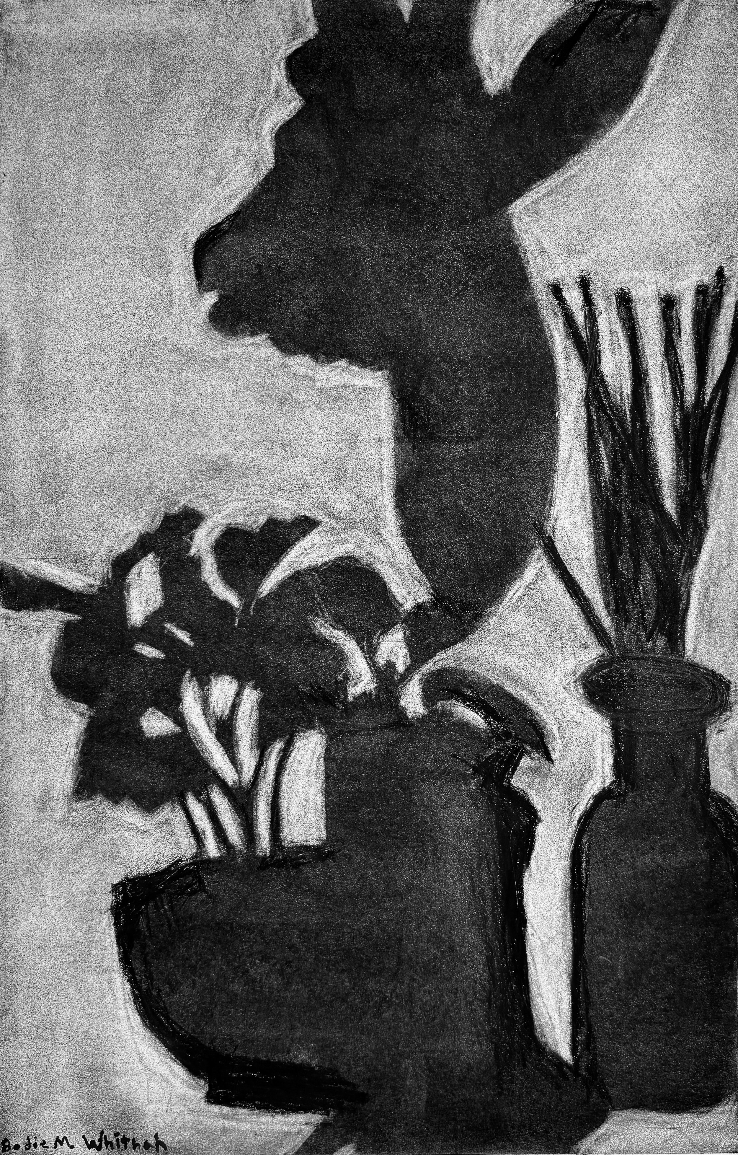 "Deer, Plant, Candle and Scents," 15x22”, charcoal on paper, 2026