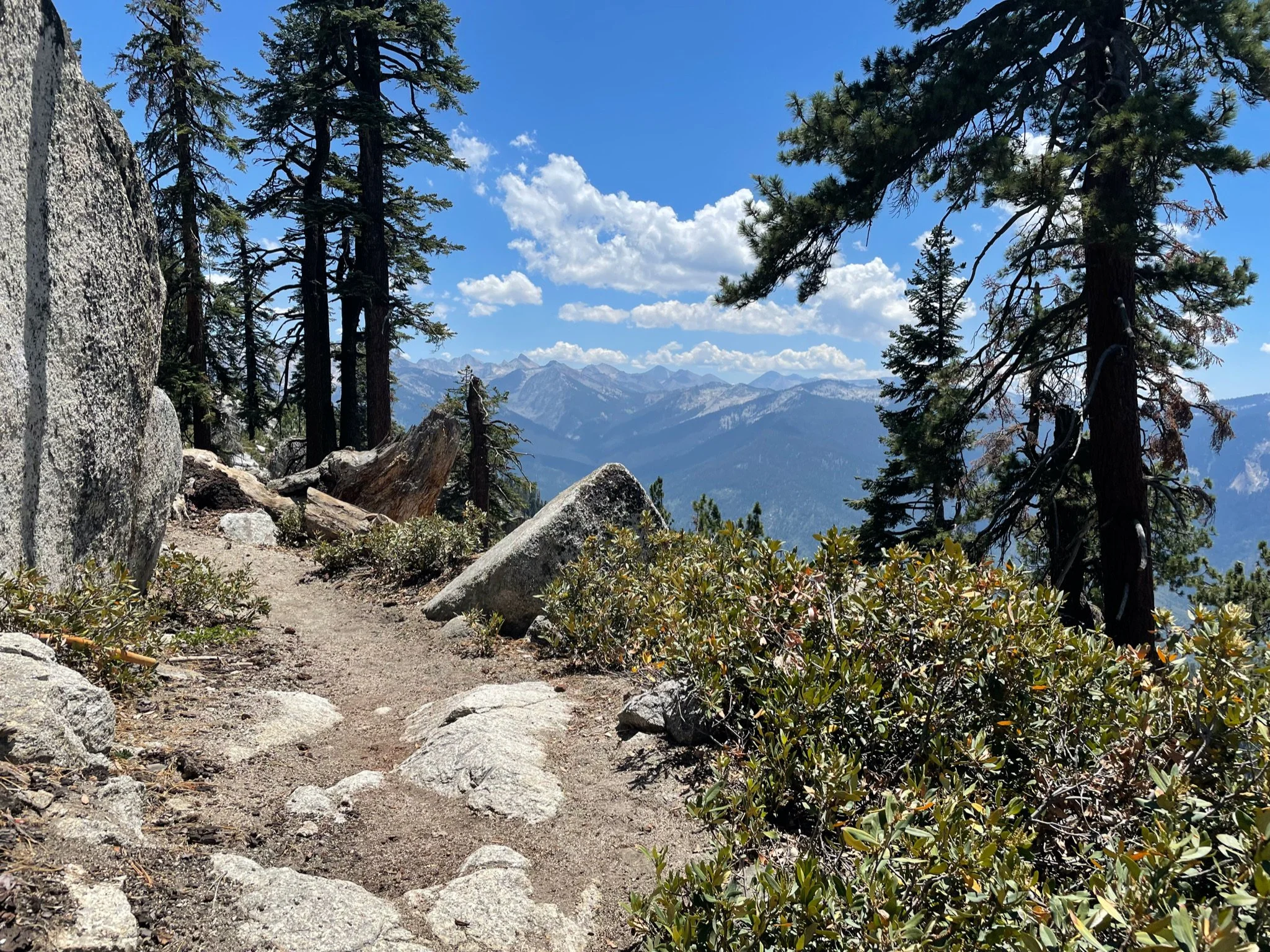 So, you took your dream job.