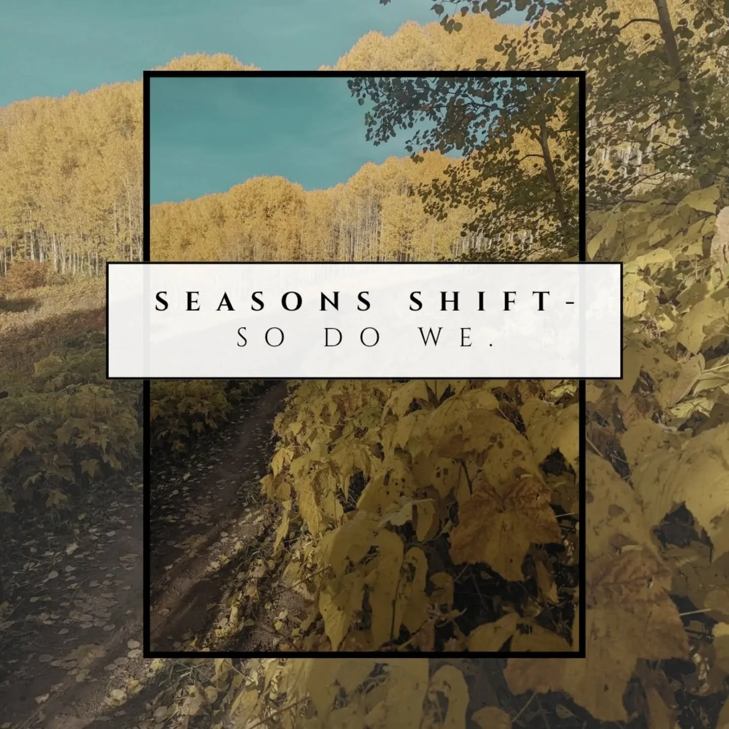 Seasons don&rsquo;t ask us to stand still &mdash; they ask us to adapt.

For those of us who live and work by nature&rsquo;s rhythm, freedom and stability aren&rsquo;t opposites &mdash; they&rsquo;re a balance we build.

Guide Theory exists to help y