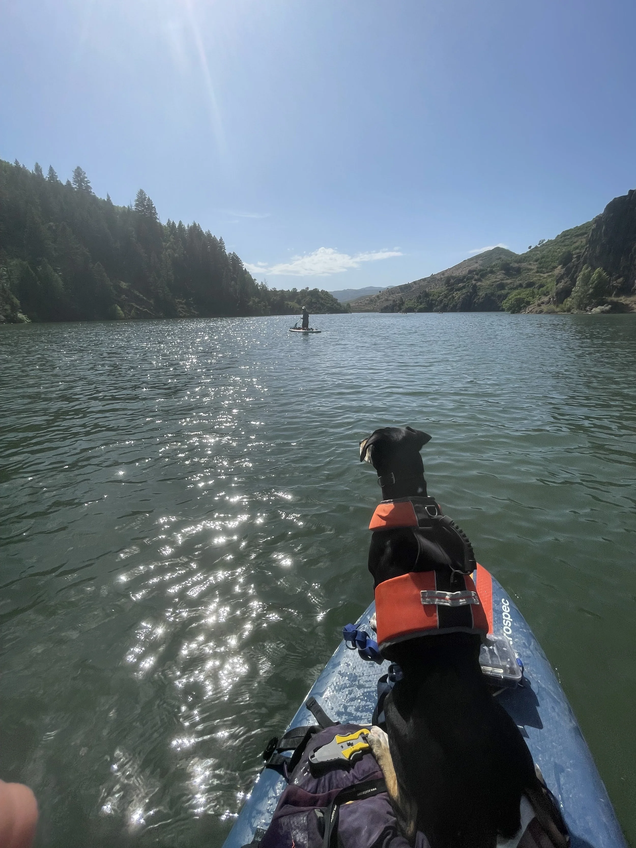 What Are You Doing With Your Shoulder Season?