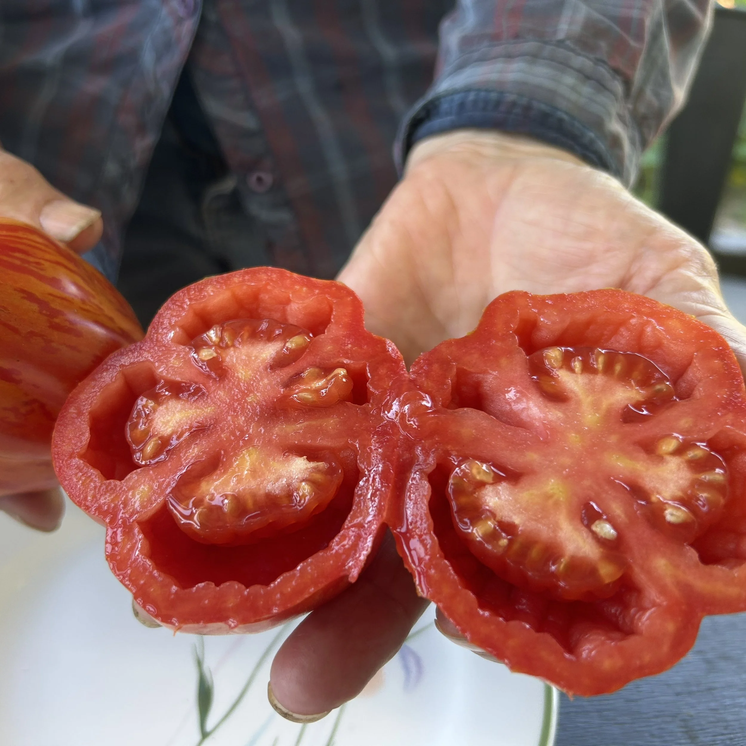 seedsaving30.jpg