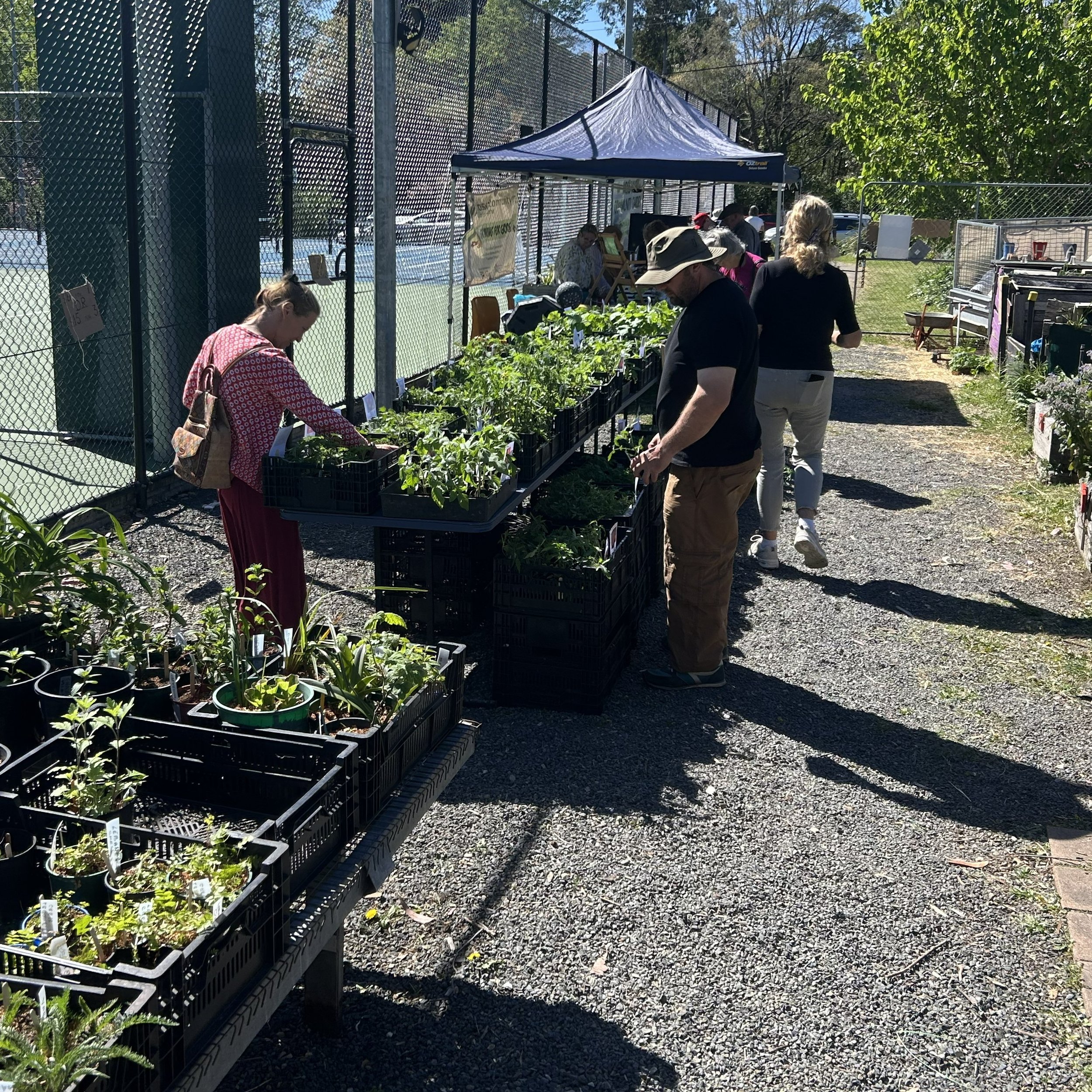 Moss Vale Community Garden Mega Autumn Sale