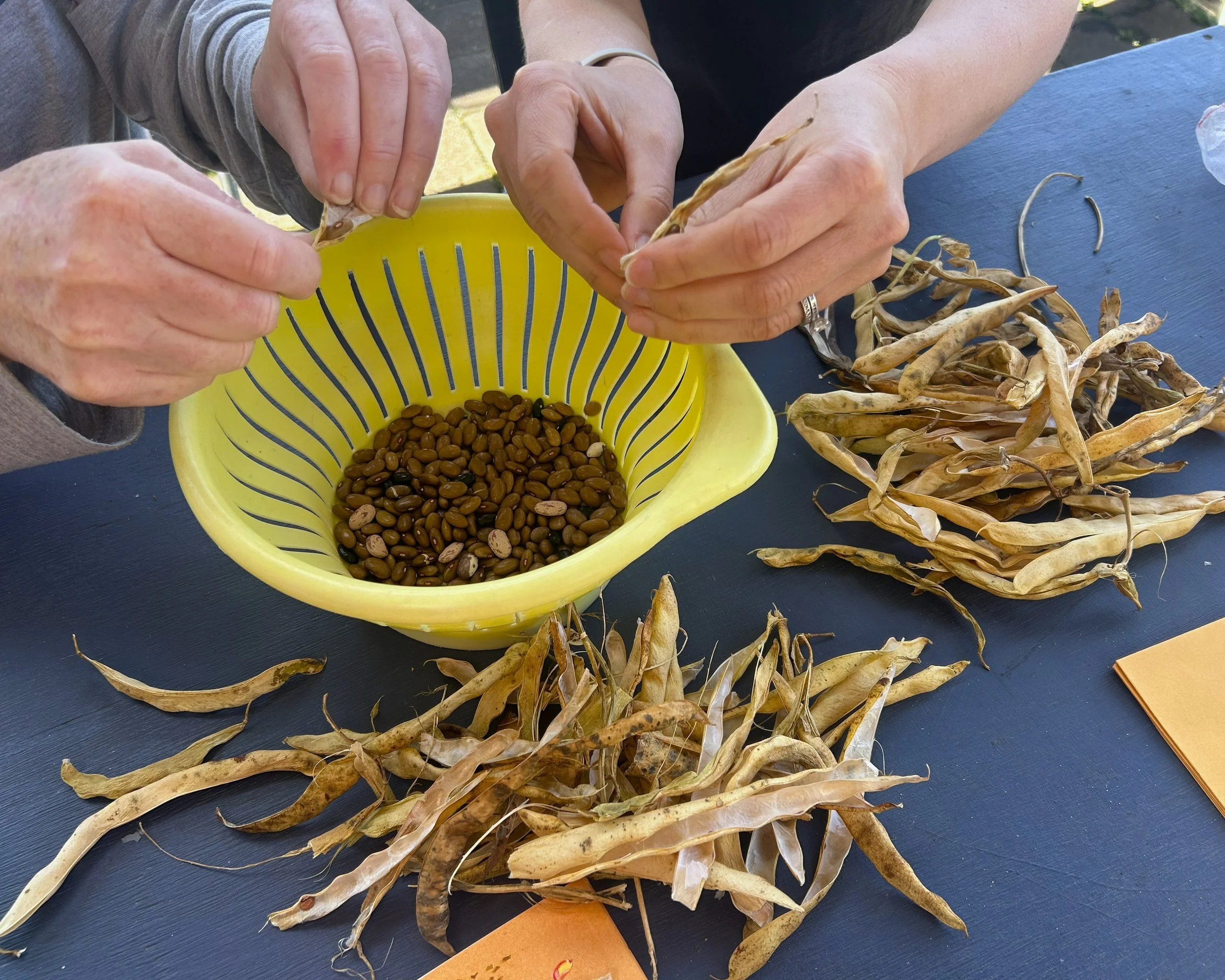 Seed Swap 2025