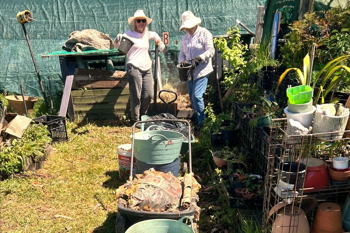 Compost bays and compost materials