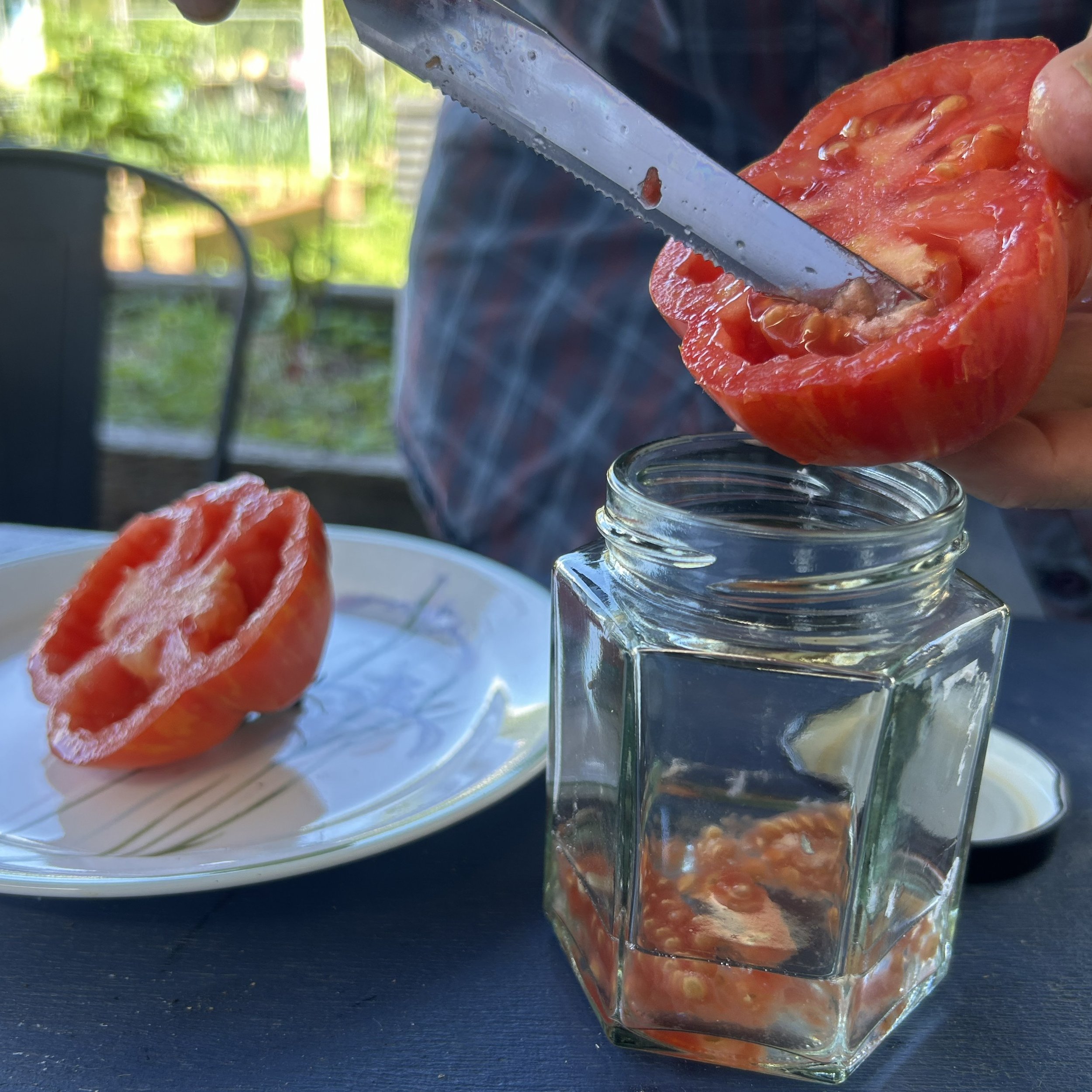 seedsaving31.jpg