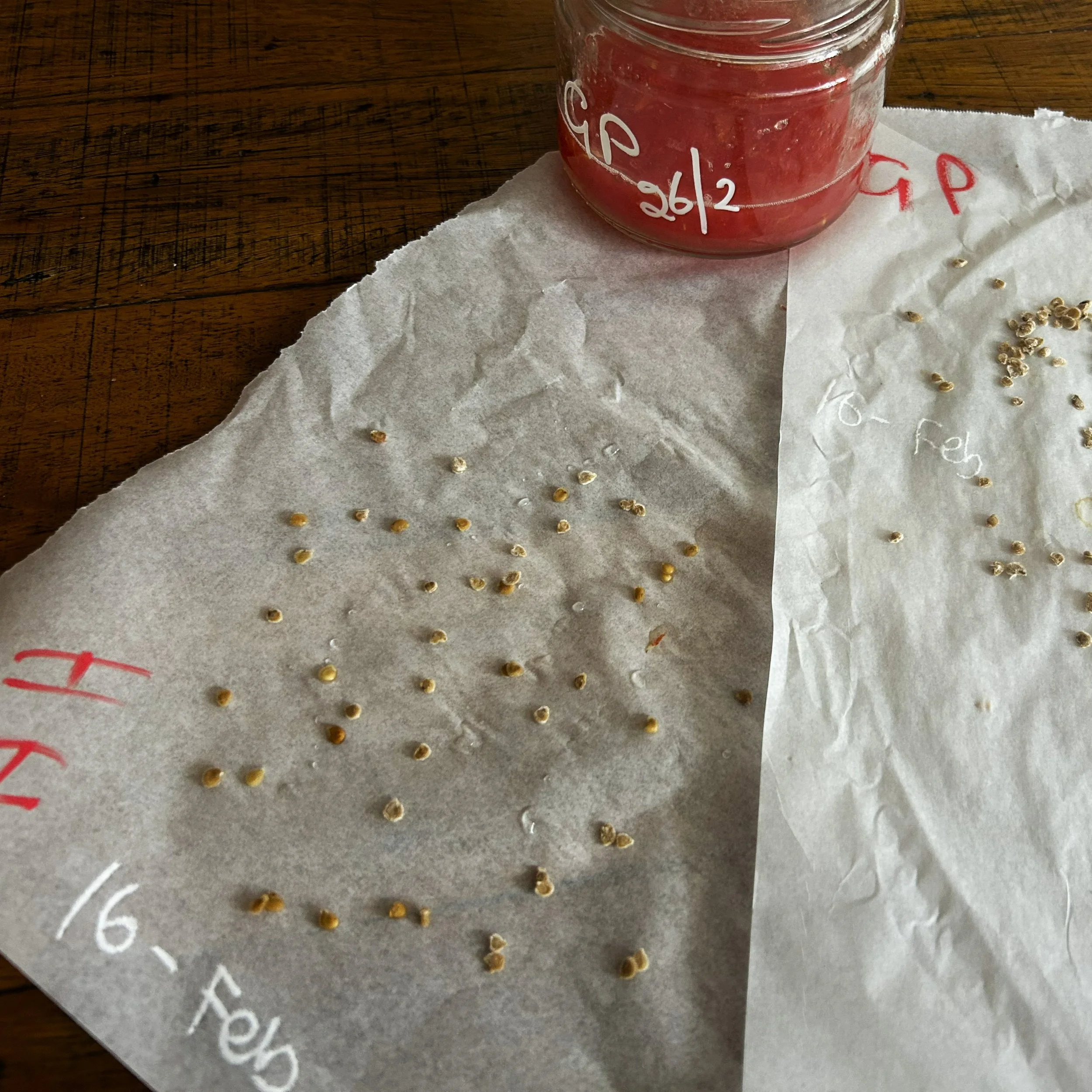 seedsaving34.jpg