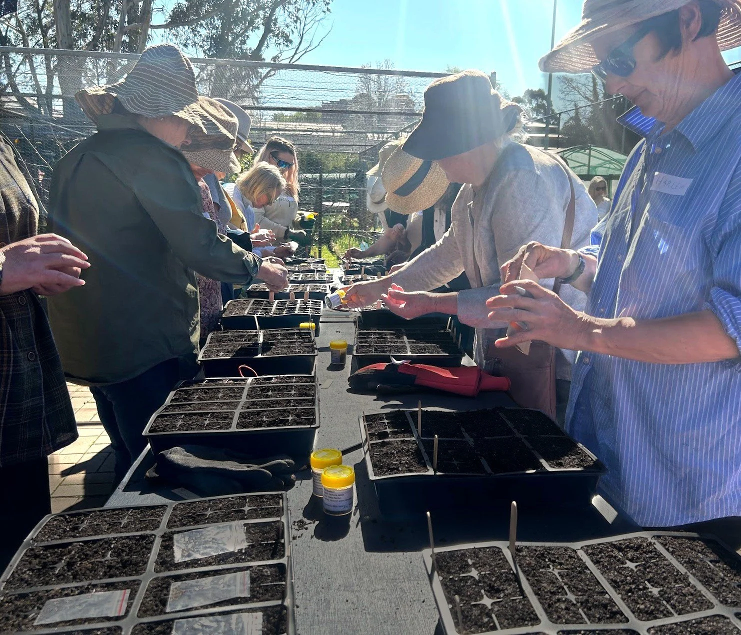 Seed raising workshop