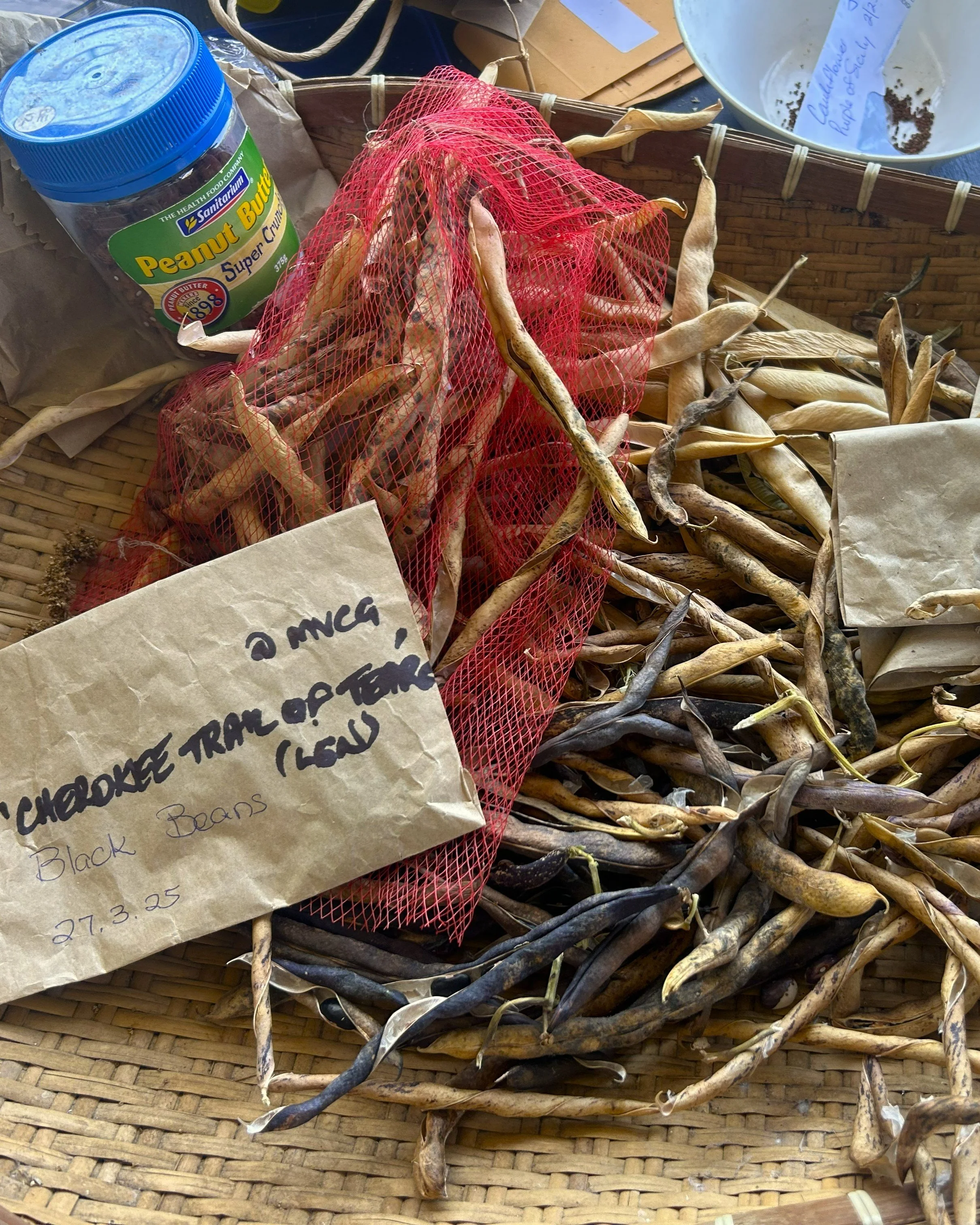 Seed Swap 2025