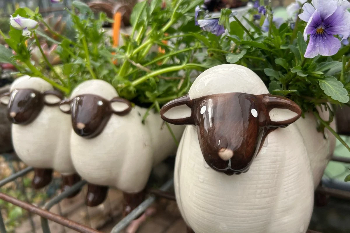 Potted plants in a sheep-shaped pot