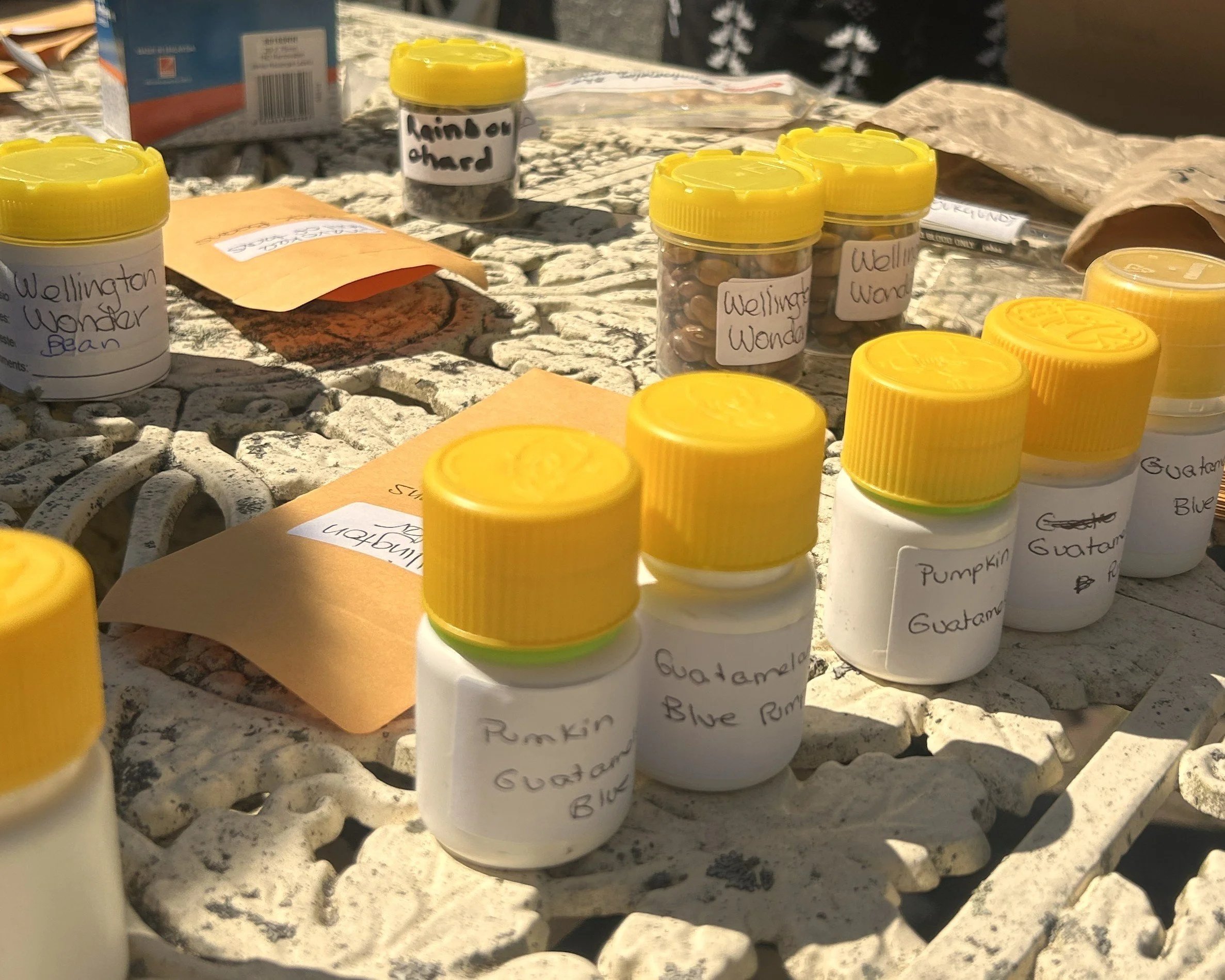 Seed Swap 2025